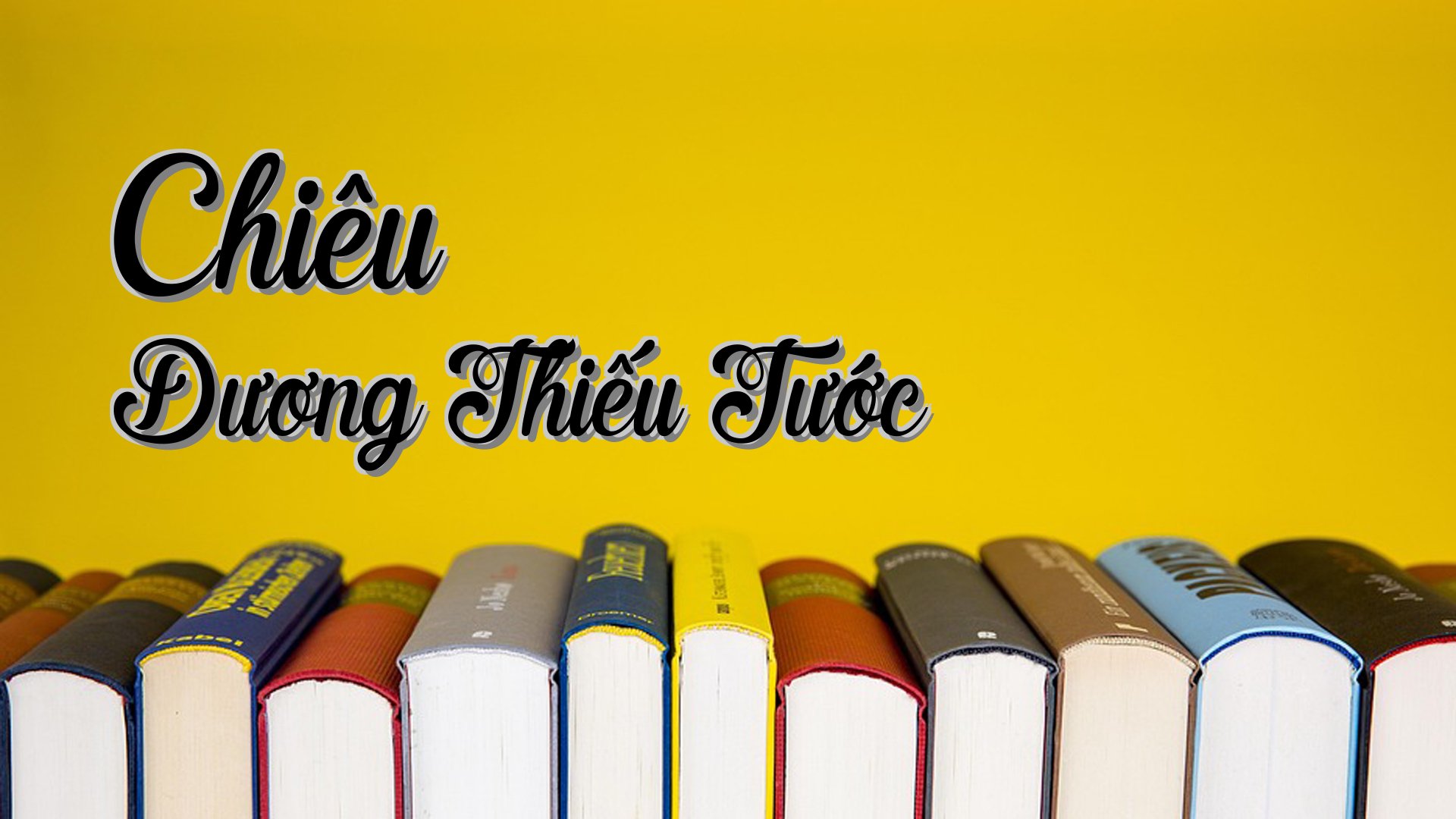 cover-Chiêu Dương Thiếu Tước