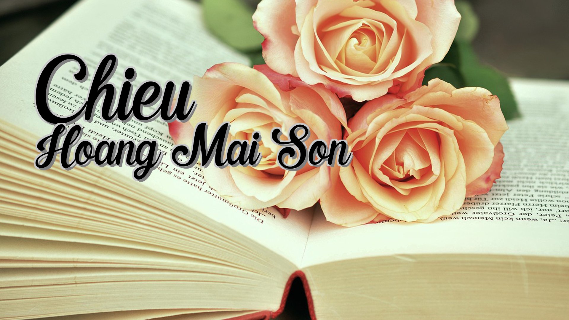 cover-Chieu Hoang Mai Son