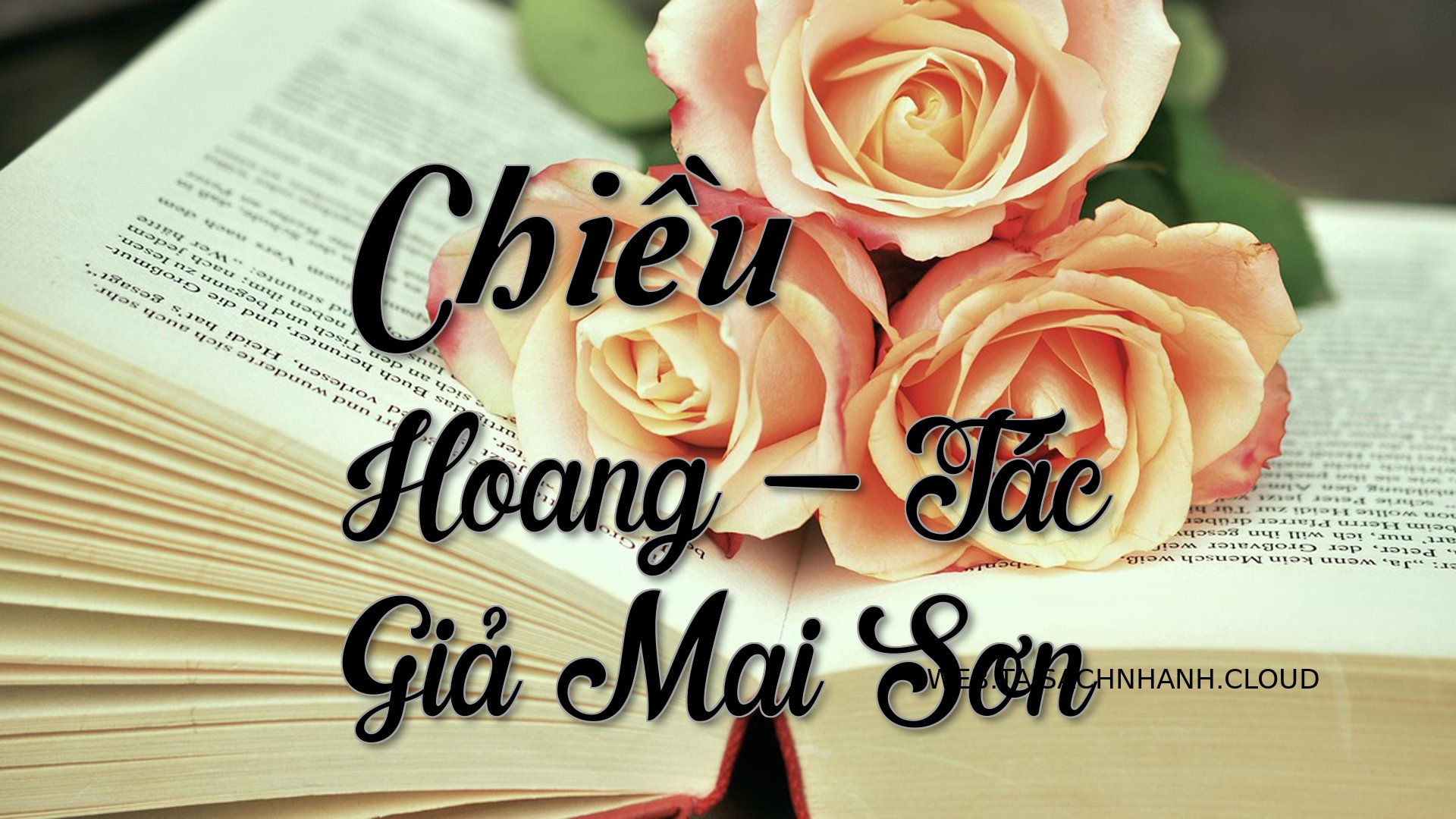Cover Chieu Hoang.jpg