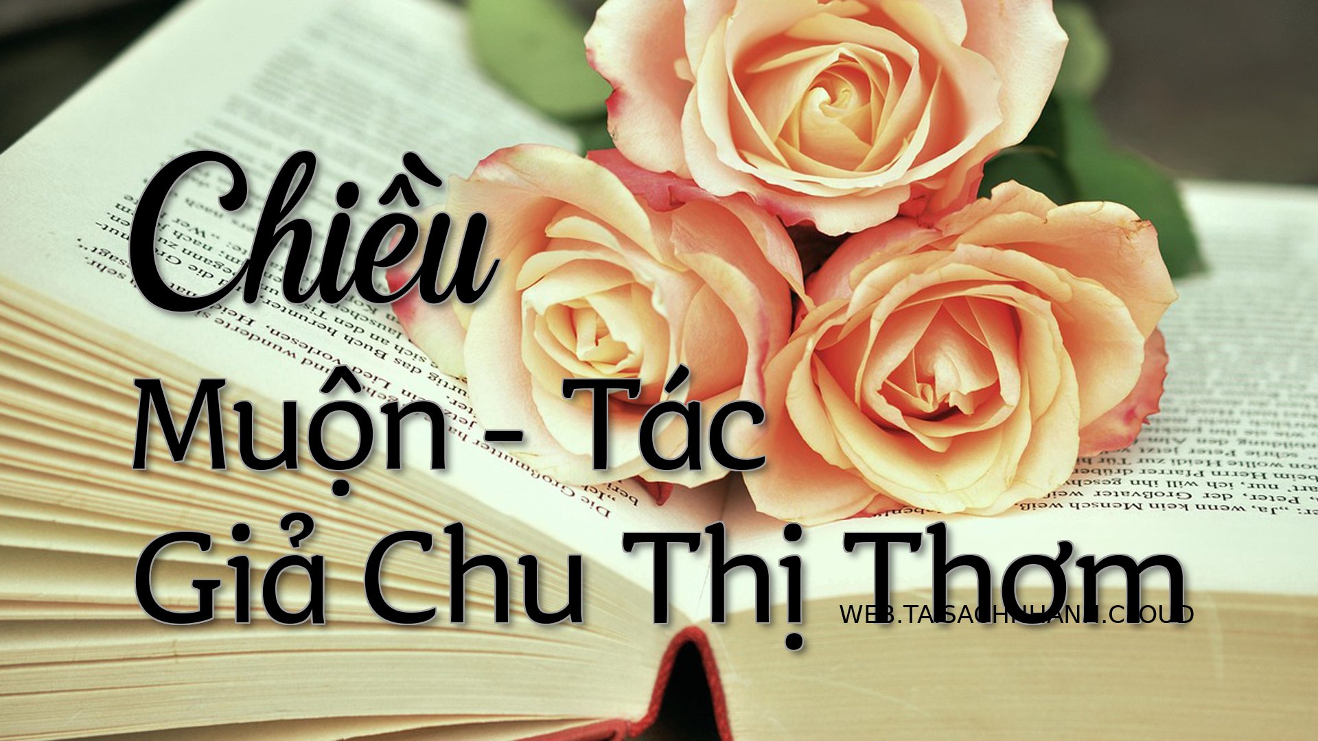 Cover Chieu Muon.jpg
