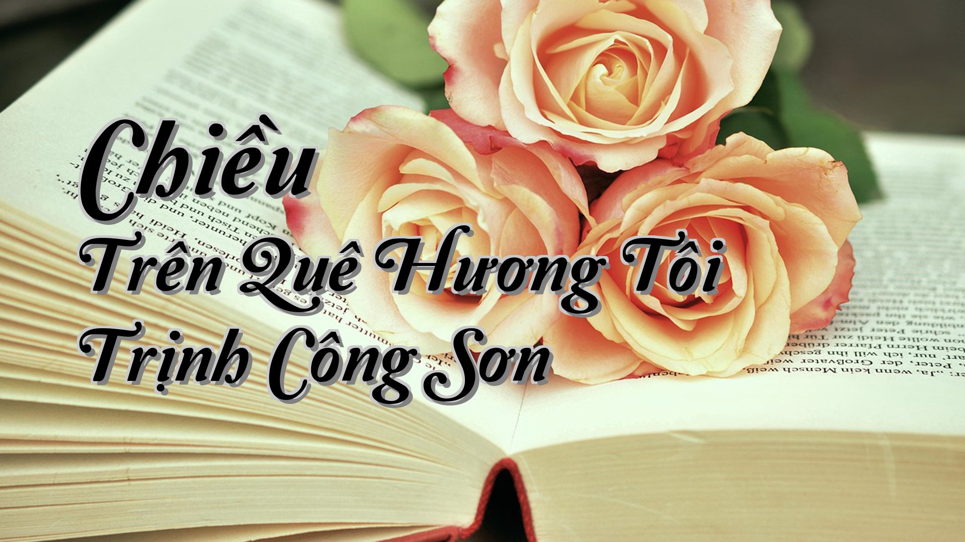 cover-Chiều Trên Quê Hương Tôi Trịnh Công Sơn