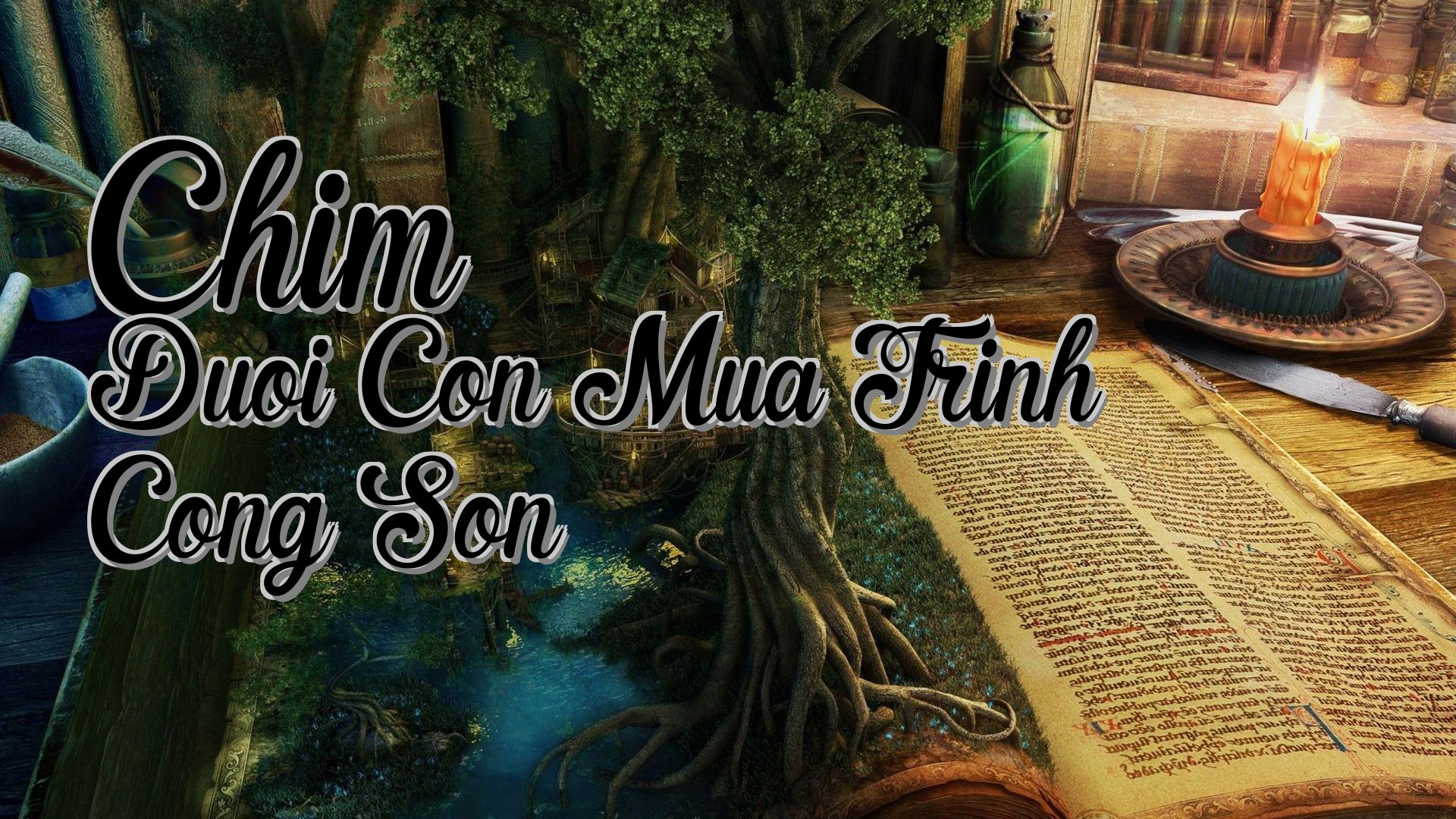 cover-Chim Duoi Con Mua Trinh Cong Son