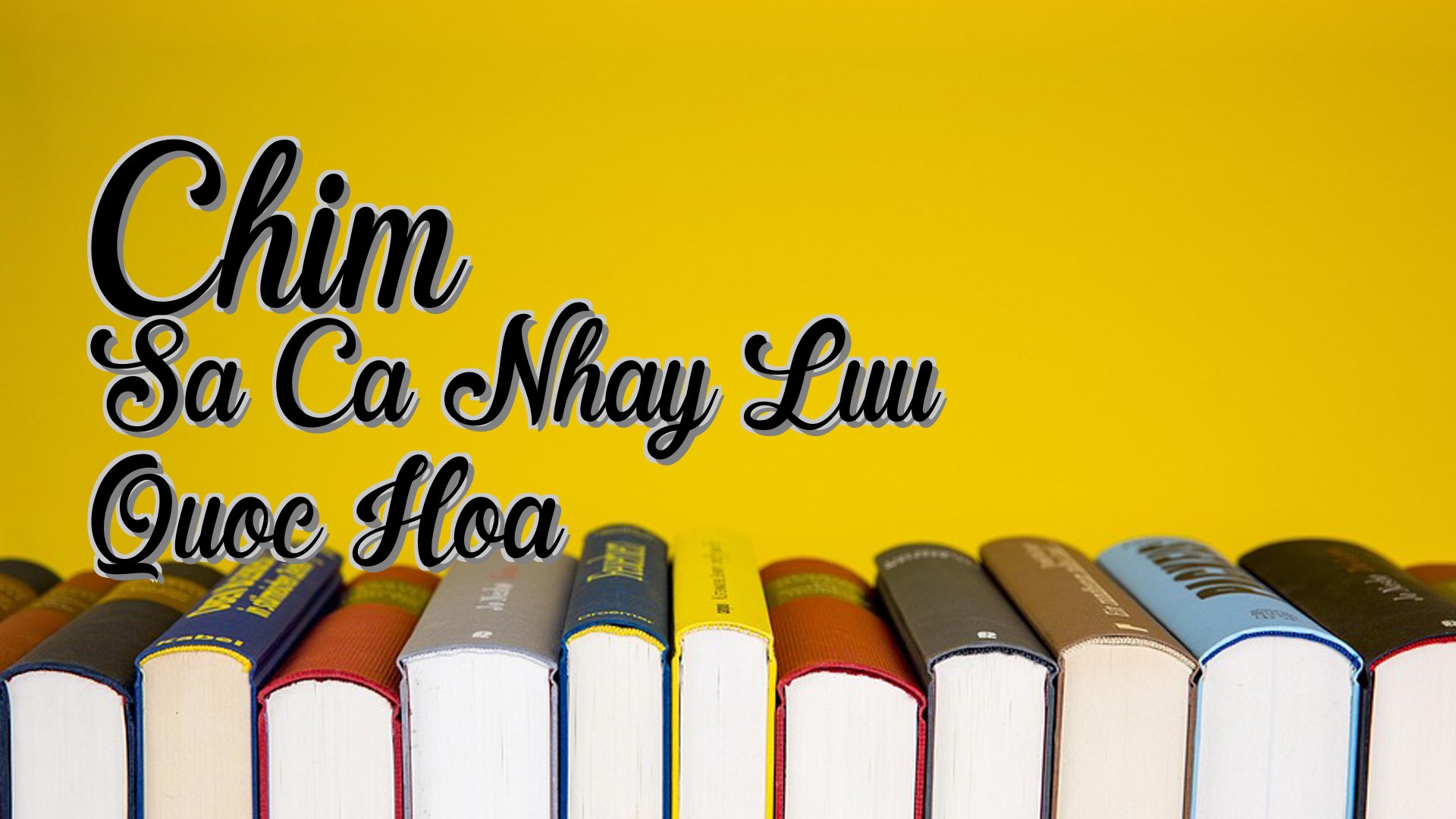 cover-Chim Sa Ca Nhay Luu Quoc Hoa