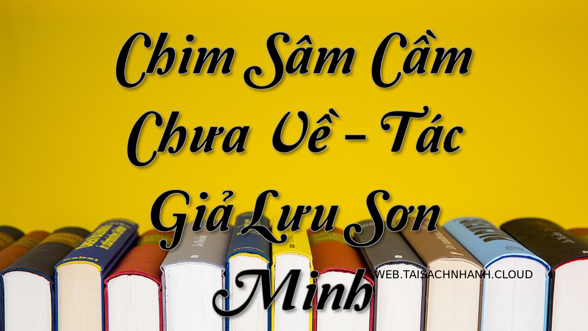 Cover Chim Sam Cam Chua Ve.jpg