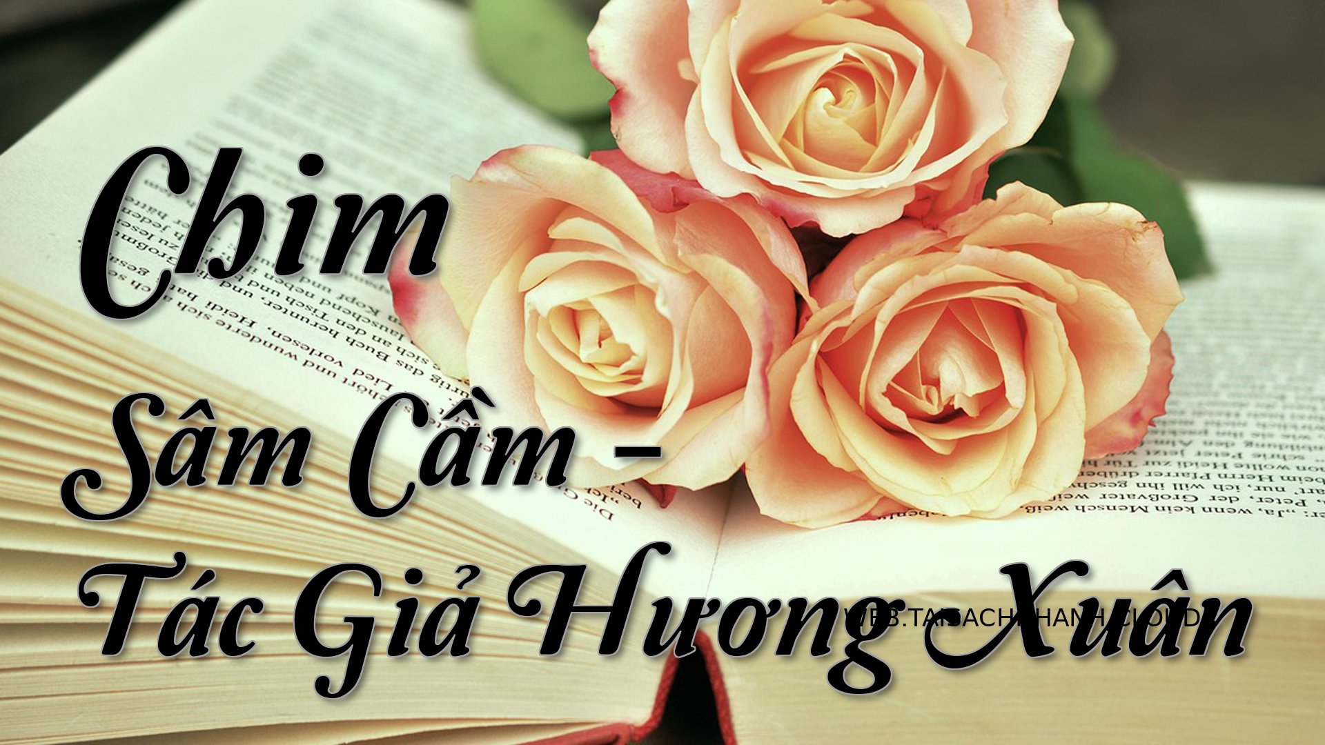 Cover Chim Sam Cam.jpg