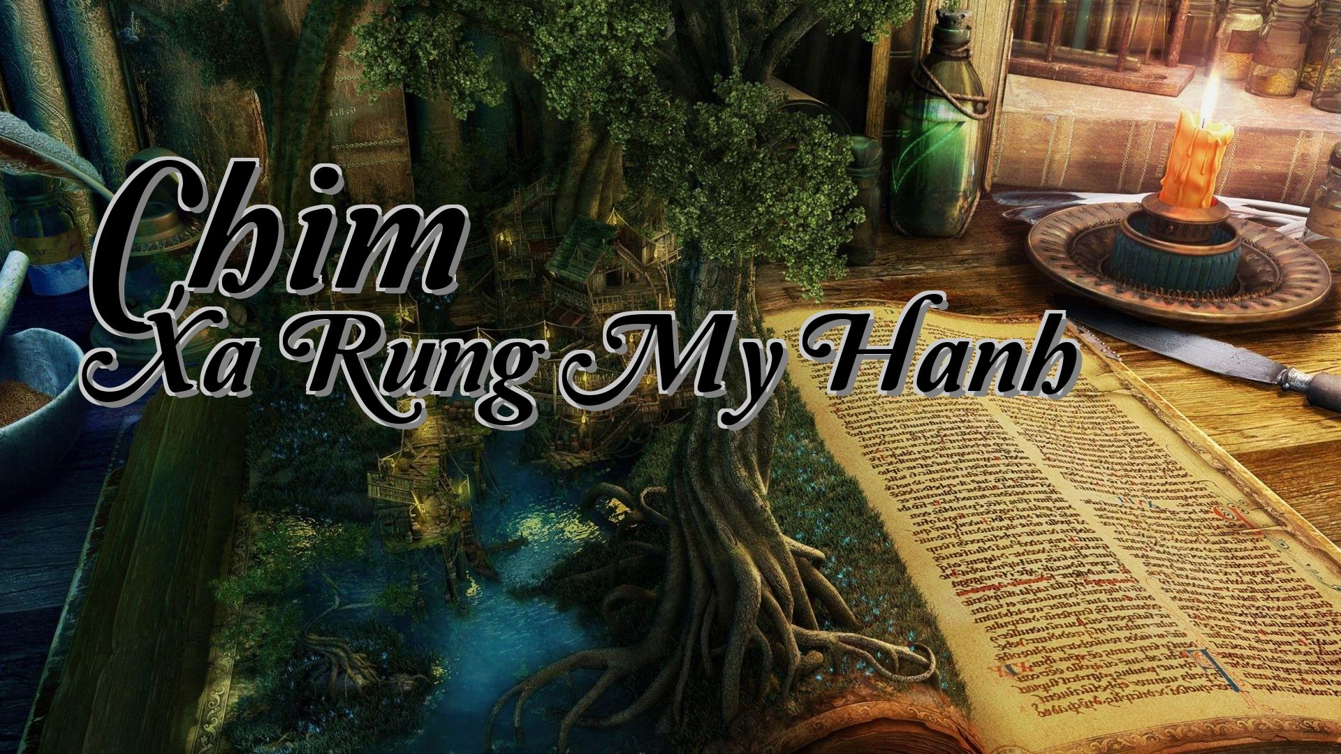 cover-Chim Xa Rung My Hanh