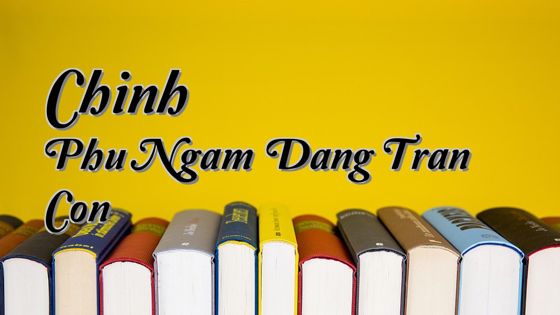 cover-Chinh Phu Ngam Dang Tran Con