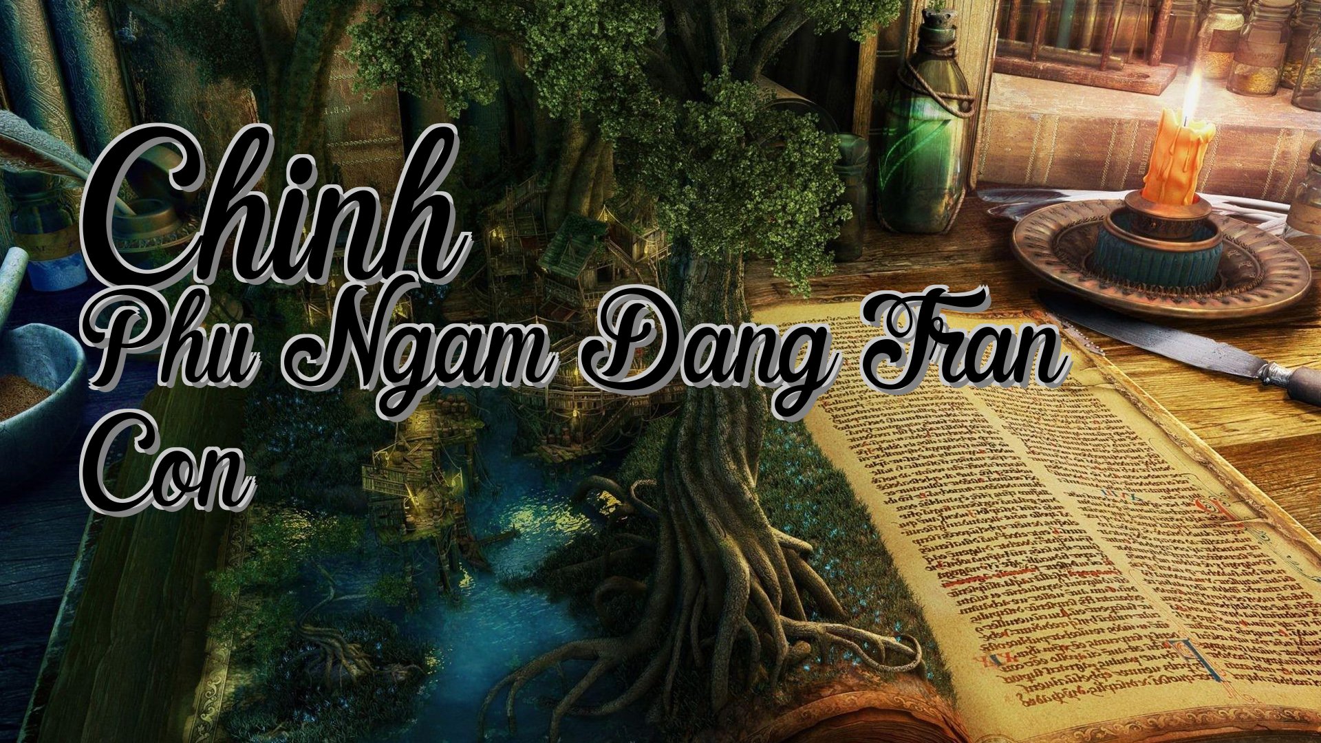 cover-Chinh Phu Ngam Dang Tran Con