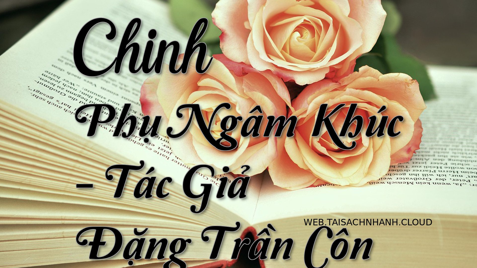 Cover Chinh Phu Ngam Khuc.jpg