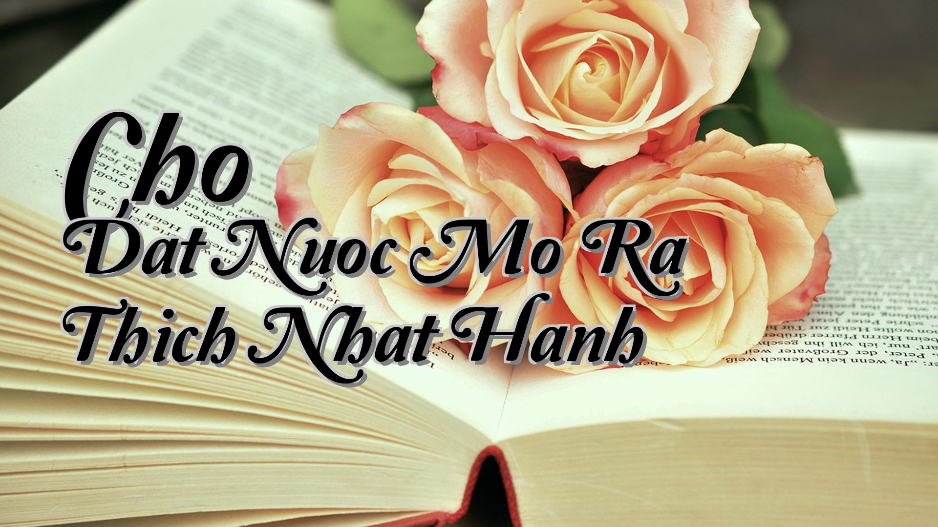 cover-Cho Dat Nuoc Mo Ra Thich Nhat Hanh