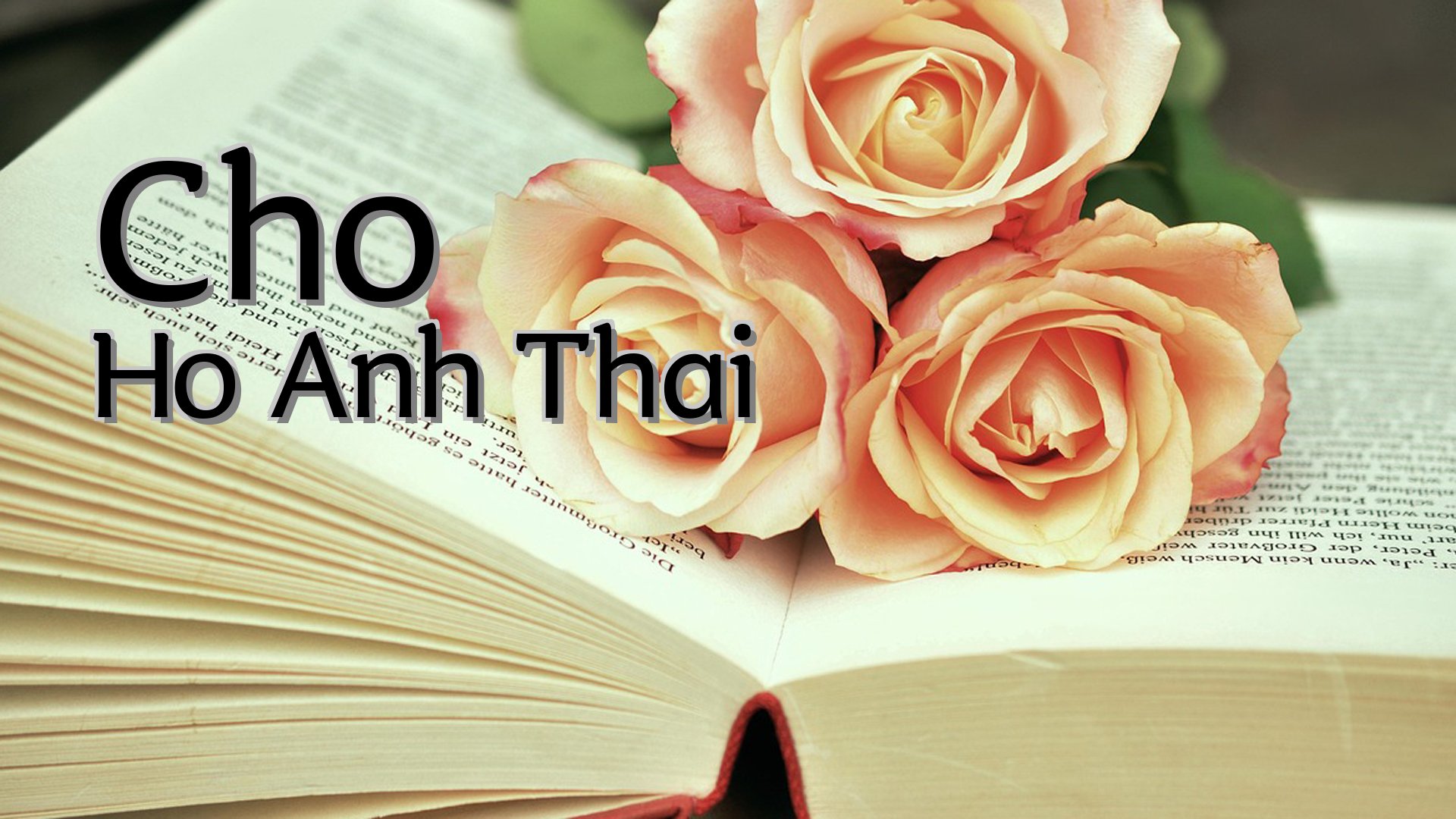 cover-Cho Ho Anh Thai