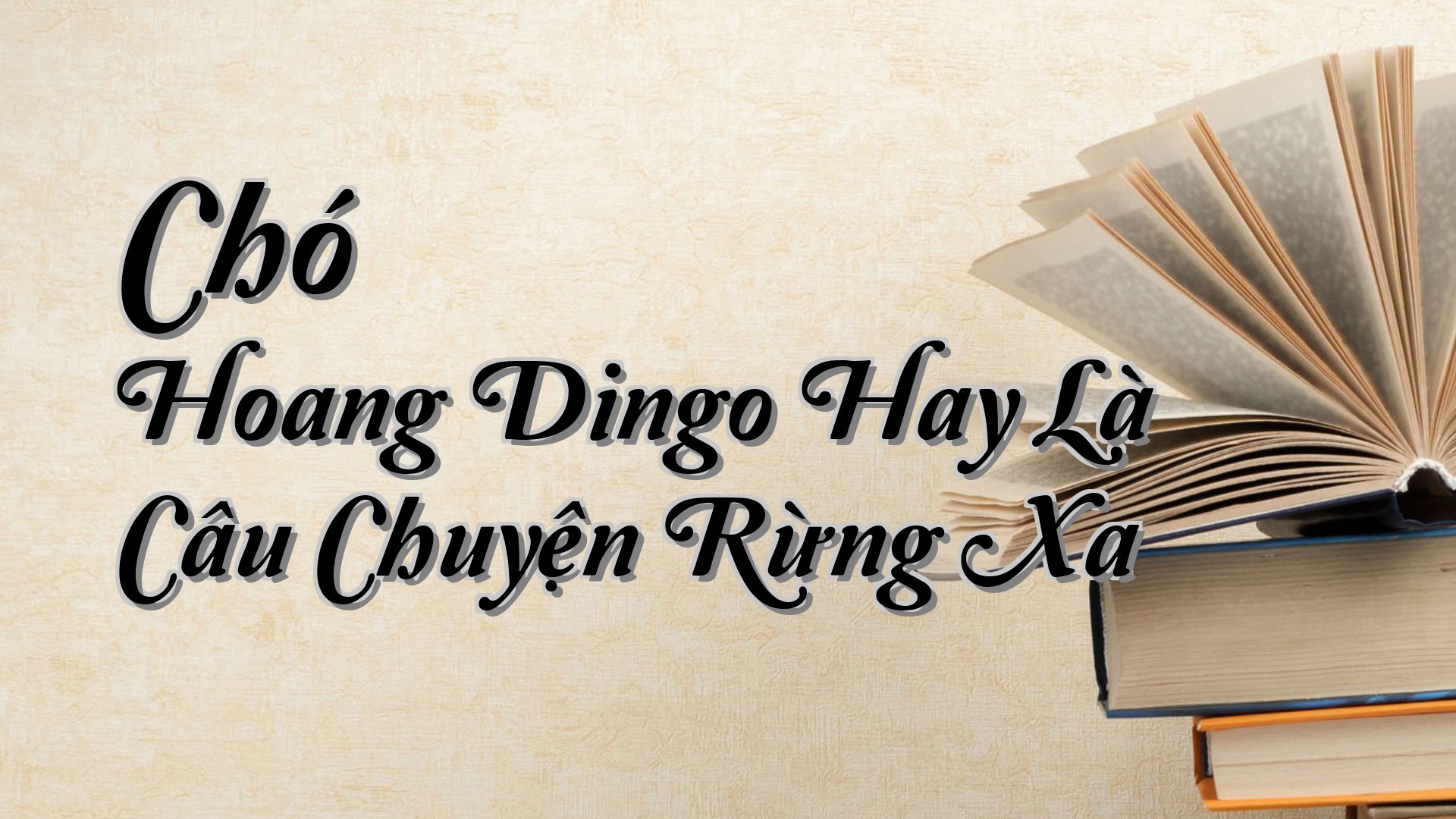 cover-Chó Hoang Dingo Hay Là Câu Chuyện Rừng Xa