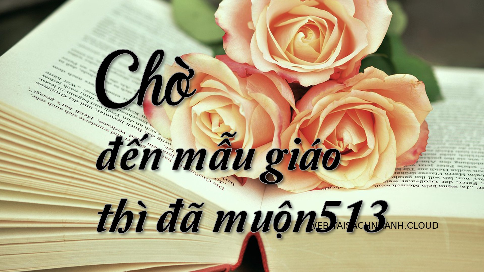 Cover Cho den mau giao thi.jpg