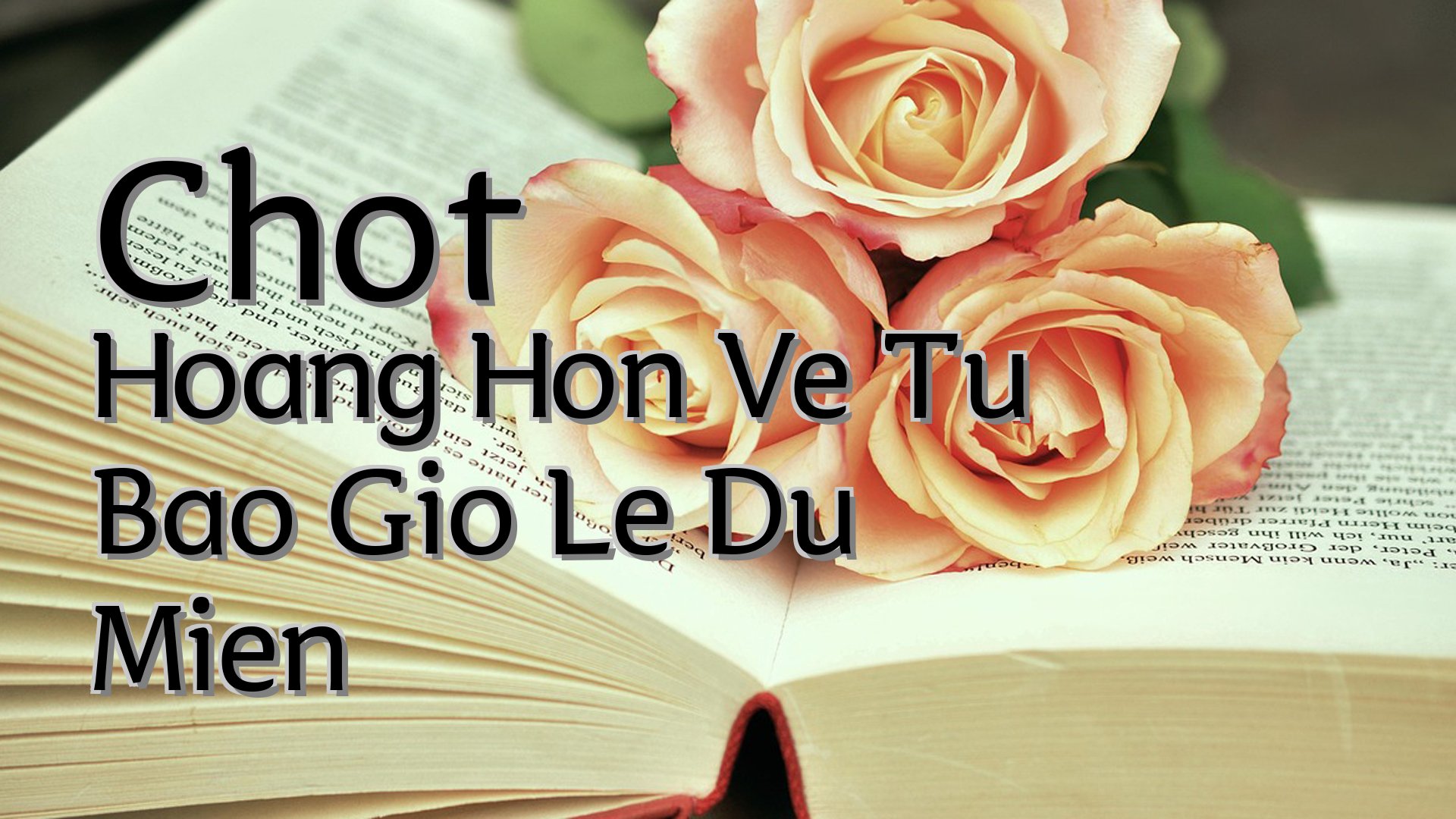cover-Chot Hoang Hon Ve Tu Bao Gio Le Du Mien