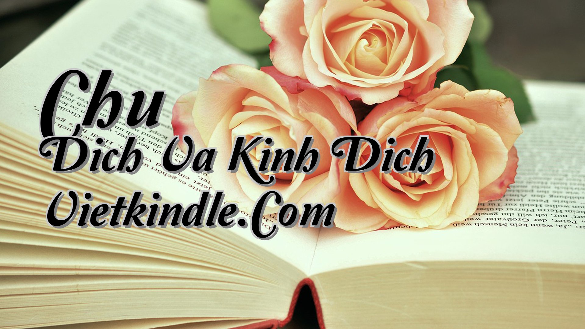 cover-Chu Dich Va Kinh Dich Vietkindle.Com