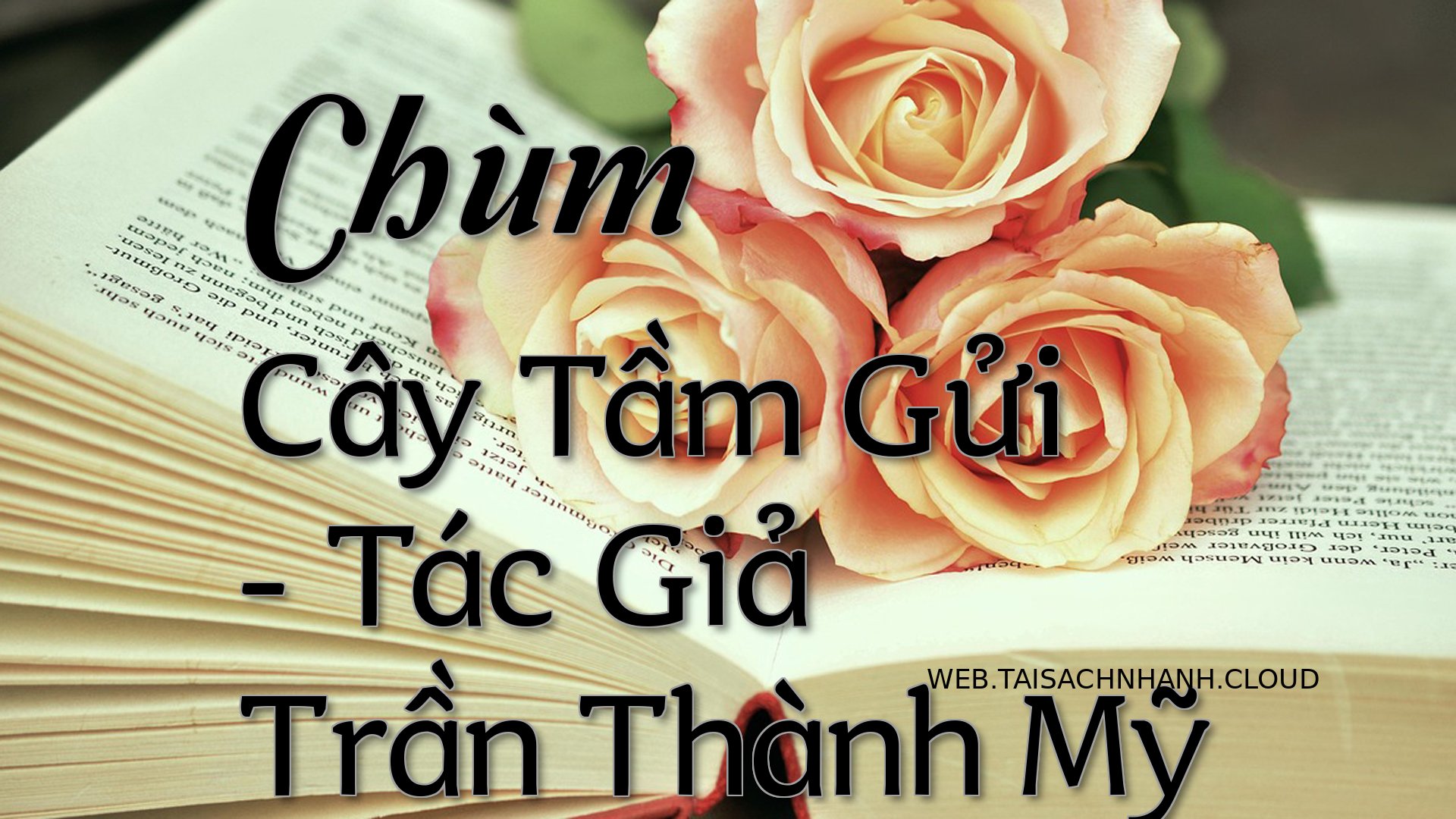 Cover Chum Cay Tam Gui.jpg