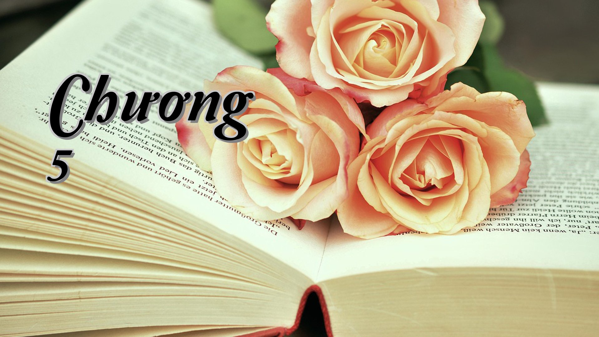 cover-Chương 5