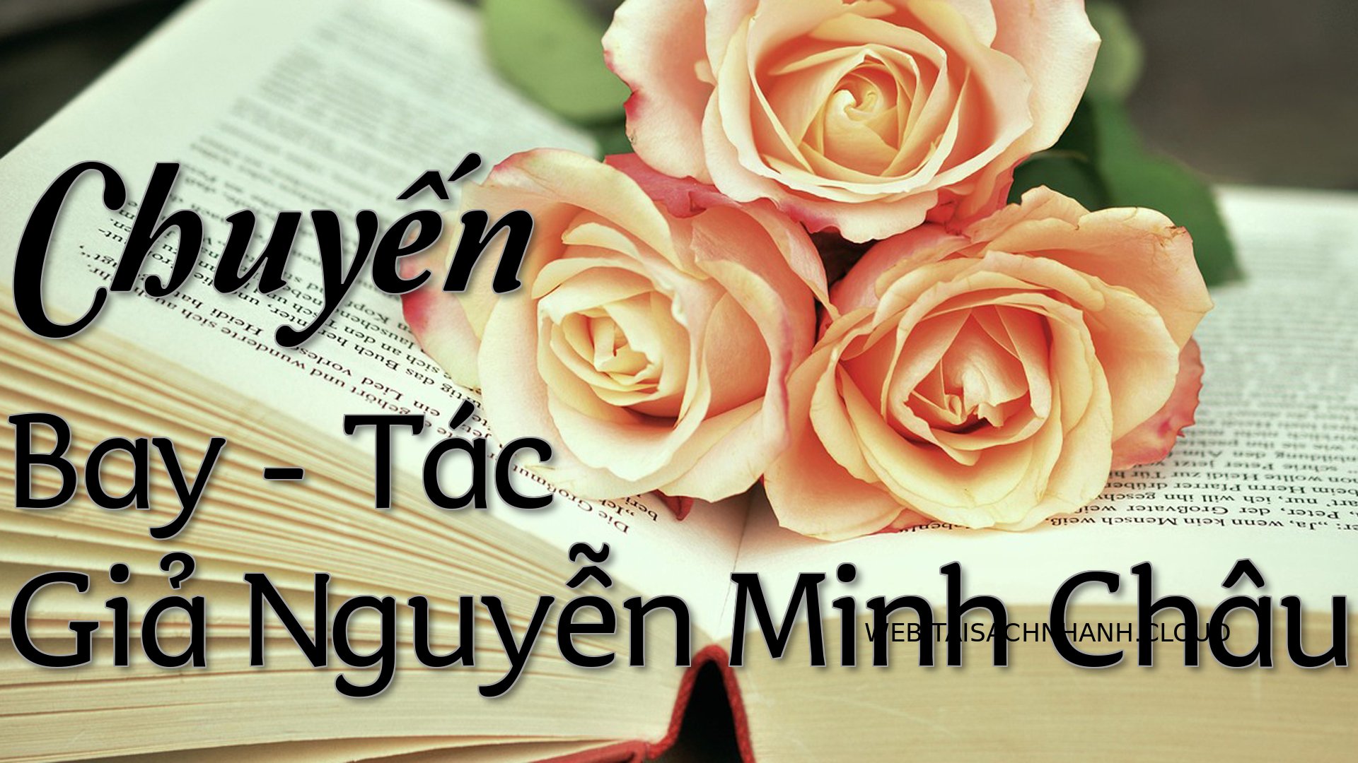 Cover Chuyen Bay.jpg