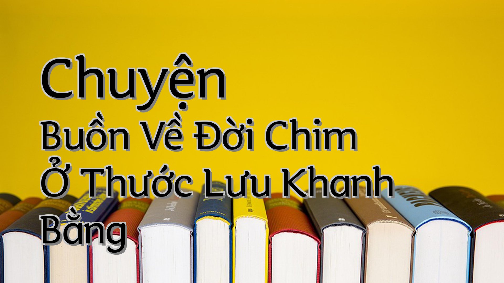 cover-Chuyện Buồn Về Đời Chim Ở Thước Lưu Khanh Bằng