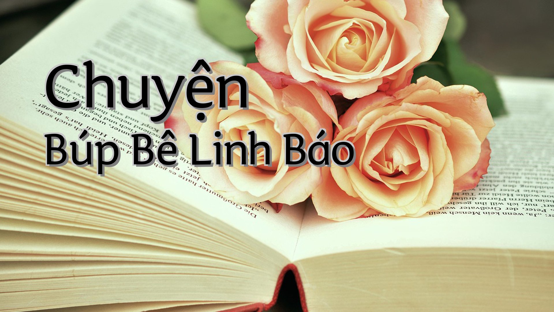 cover-Chuyện Búp Bê Linh Báo