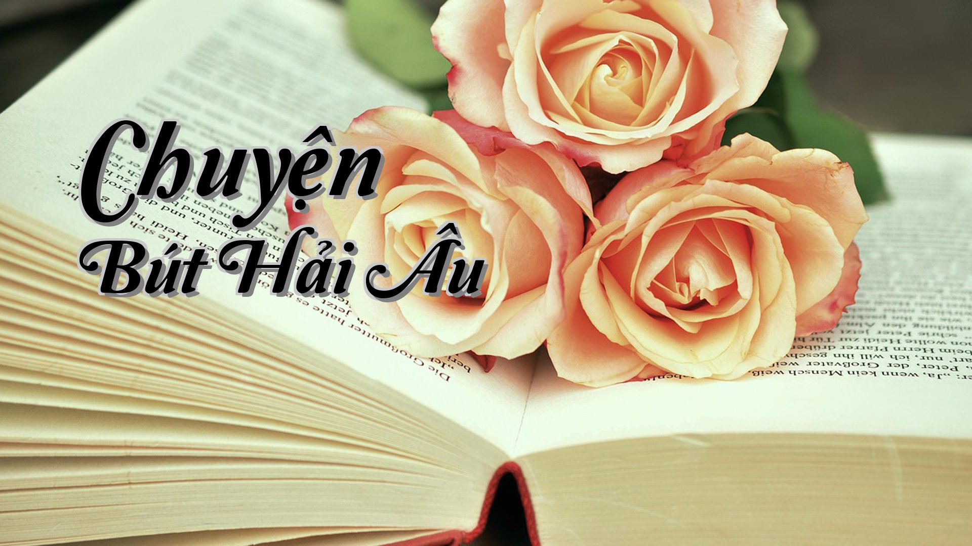 cover-Chuyện Bút Hải Âu