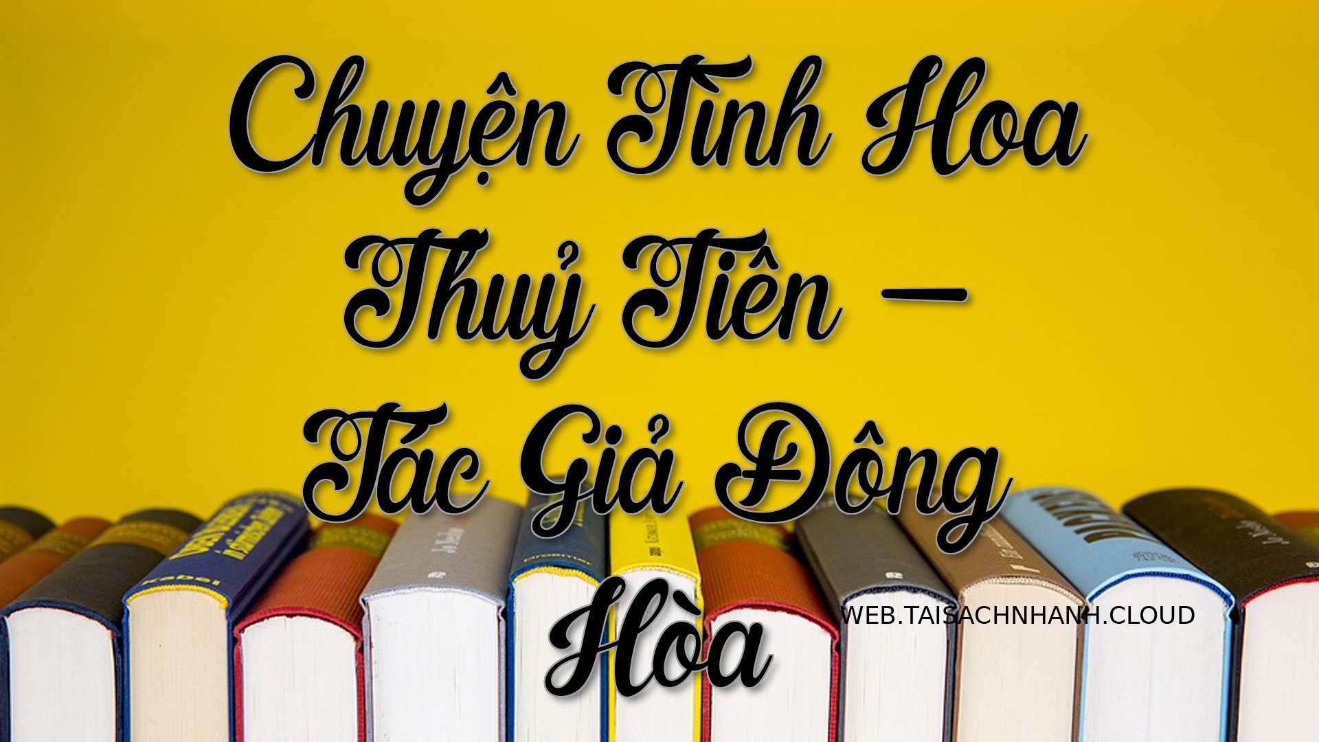 Cover Chuyen Tinh Hoa Thuy.jpg