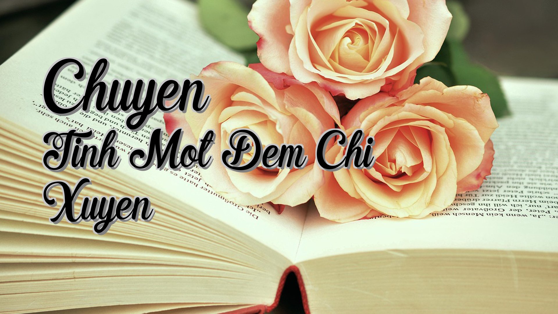 Cover image for Chuyen Tinh Mot Dem Chi Xuyen