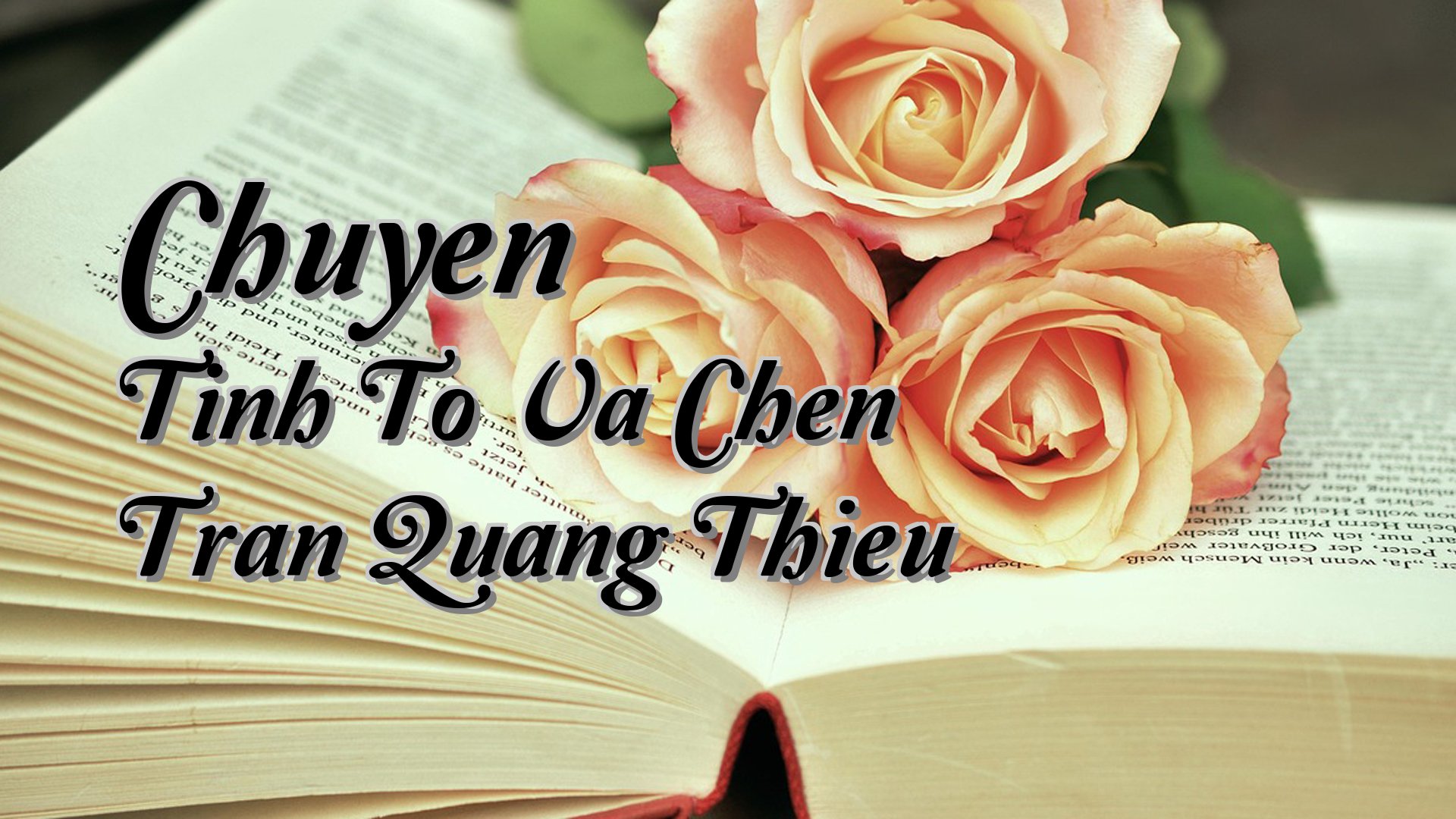 Cover image for Chuyen Tinh To Va Chen Tran Quang Thieu