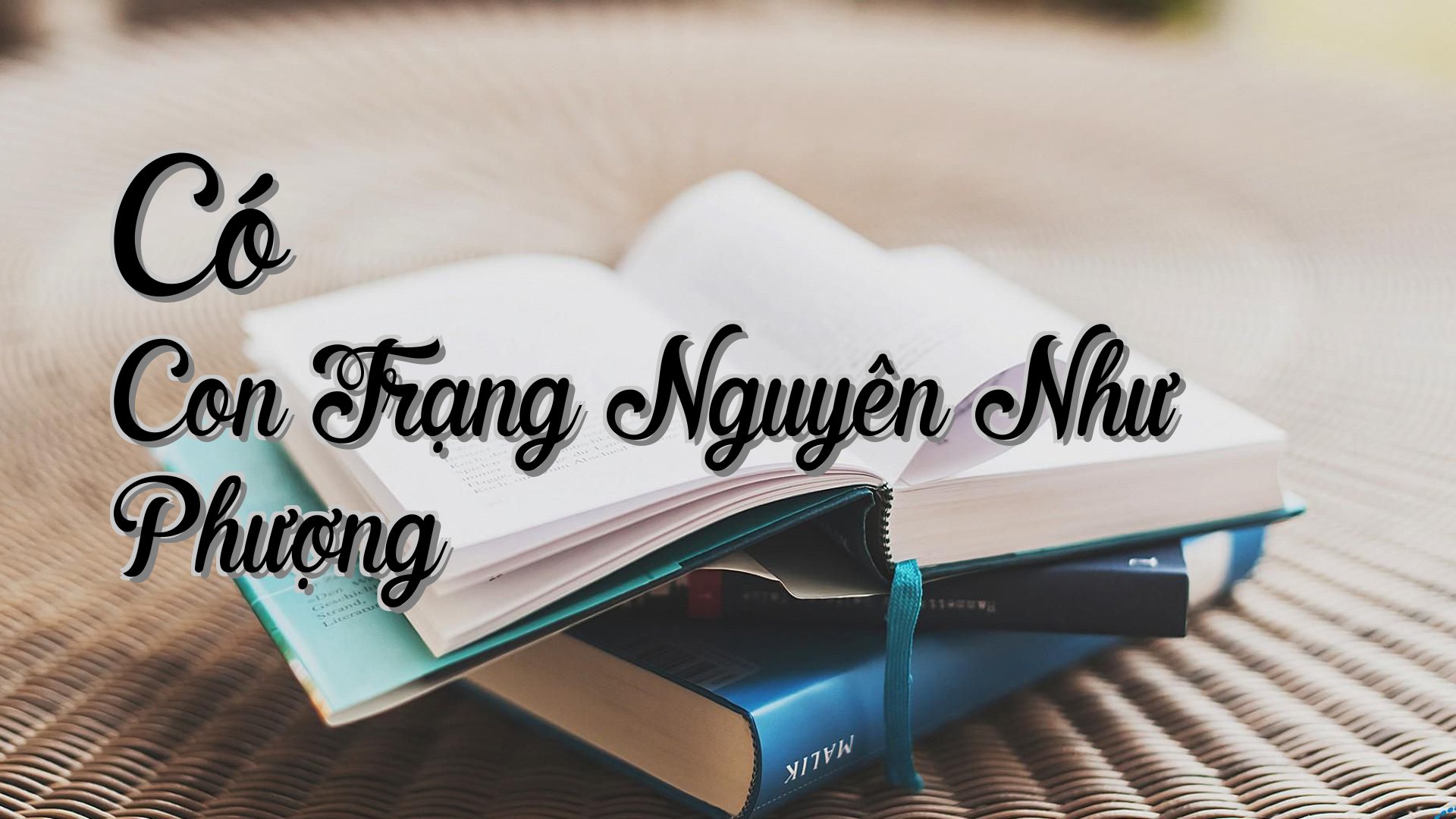 cover-Có Con Trạng Nguyên Như Phượng