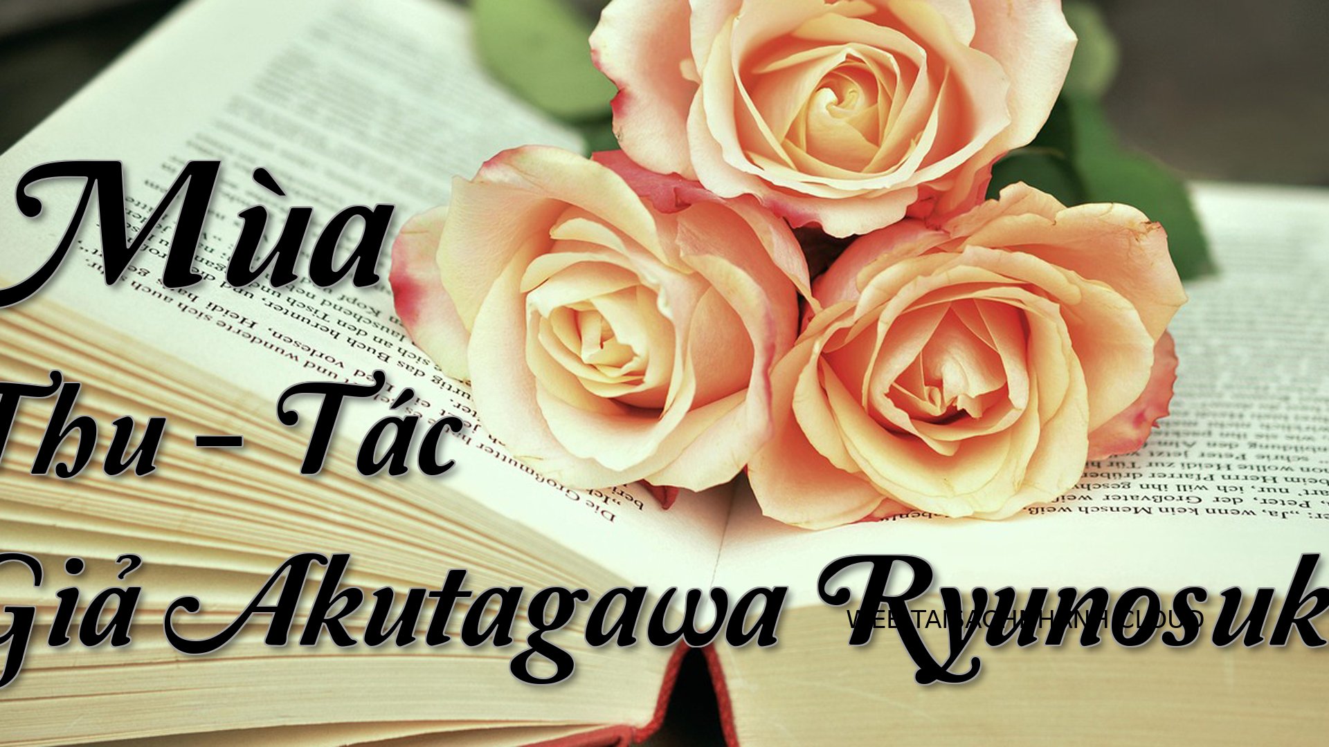 Cover Co Dau Mua Thu.jpg