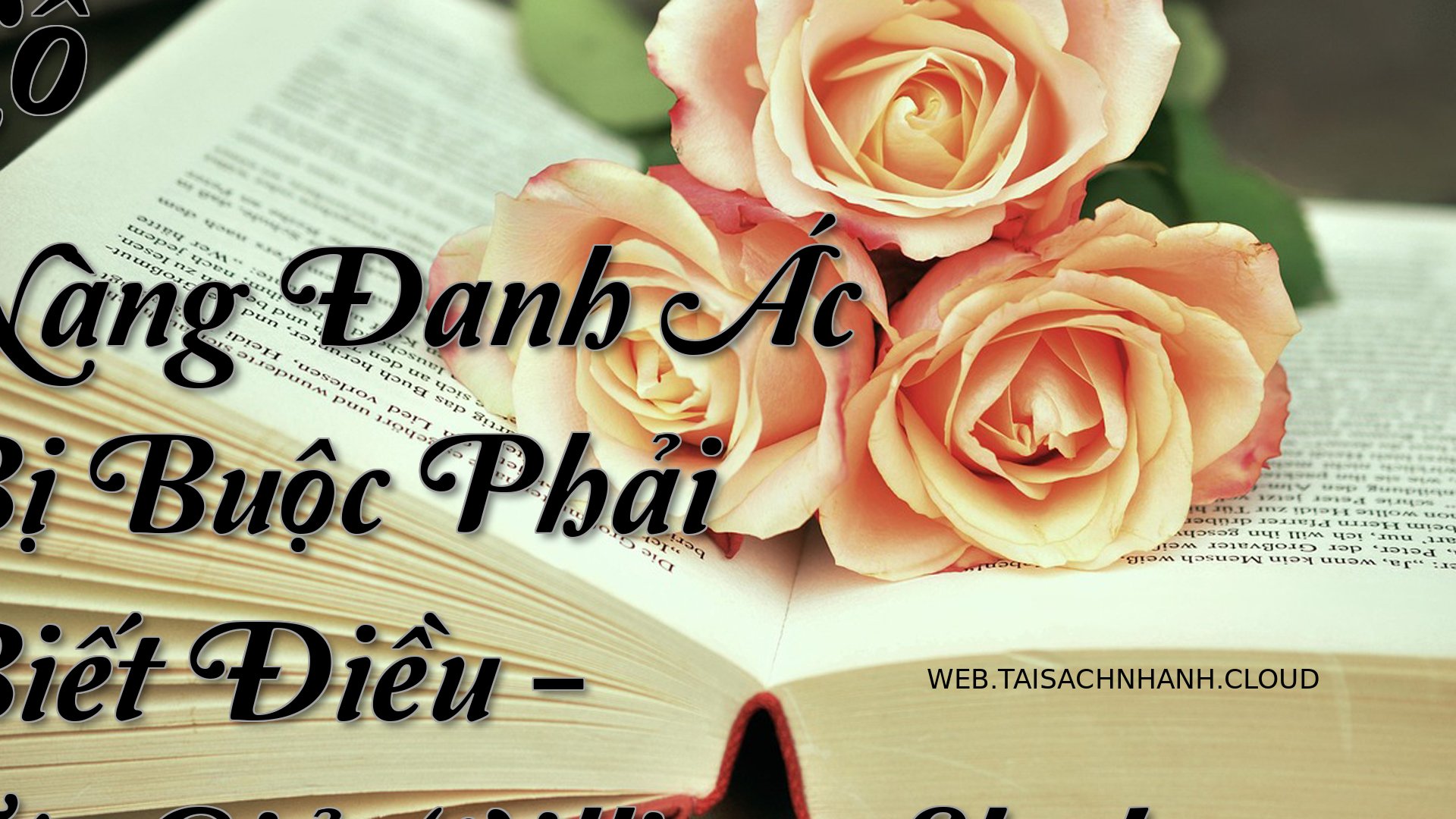 Cover Co Nang Danh Ac Bi B.jpg