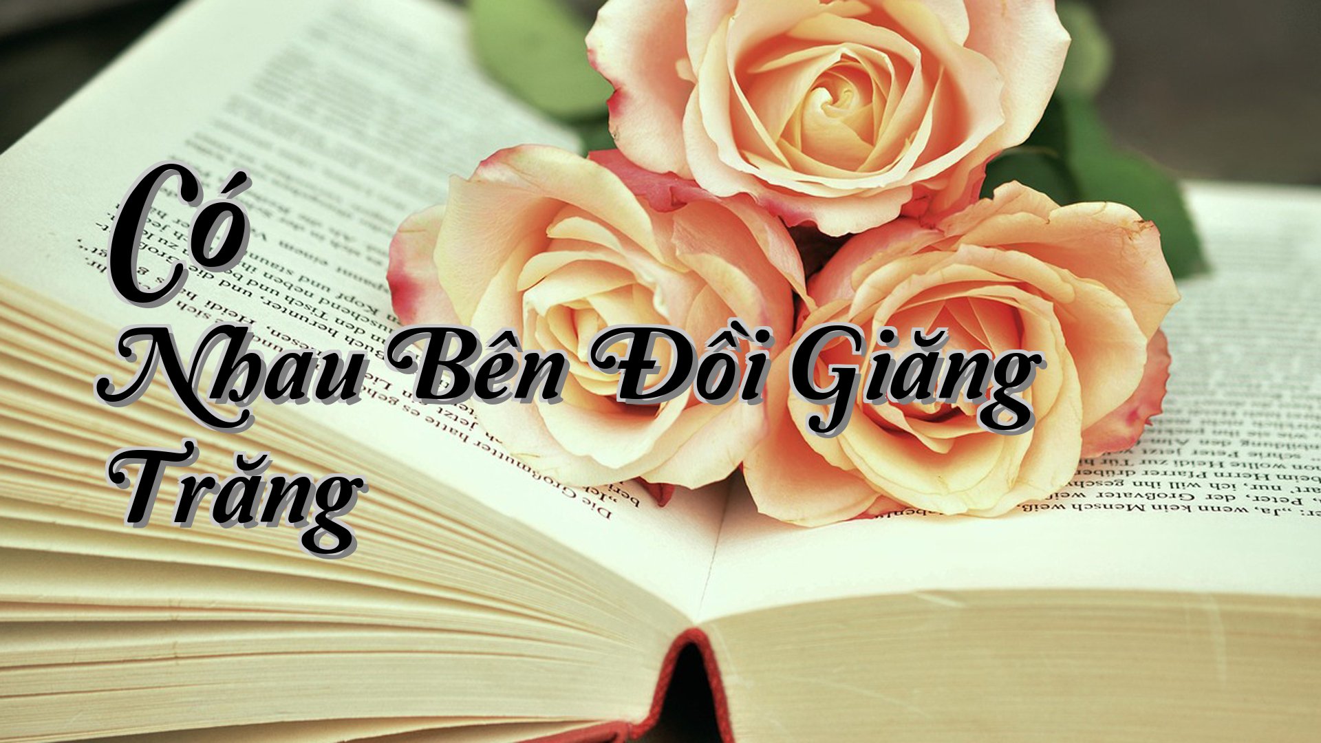cover-Có Nhau Bên Đồi Giăng Trăng