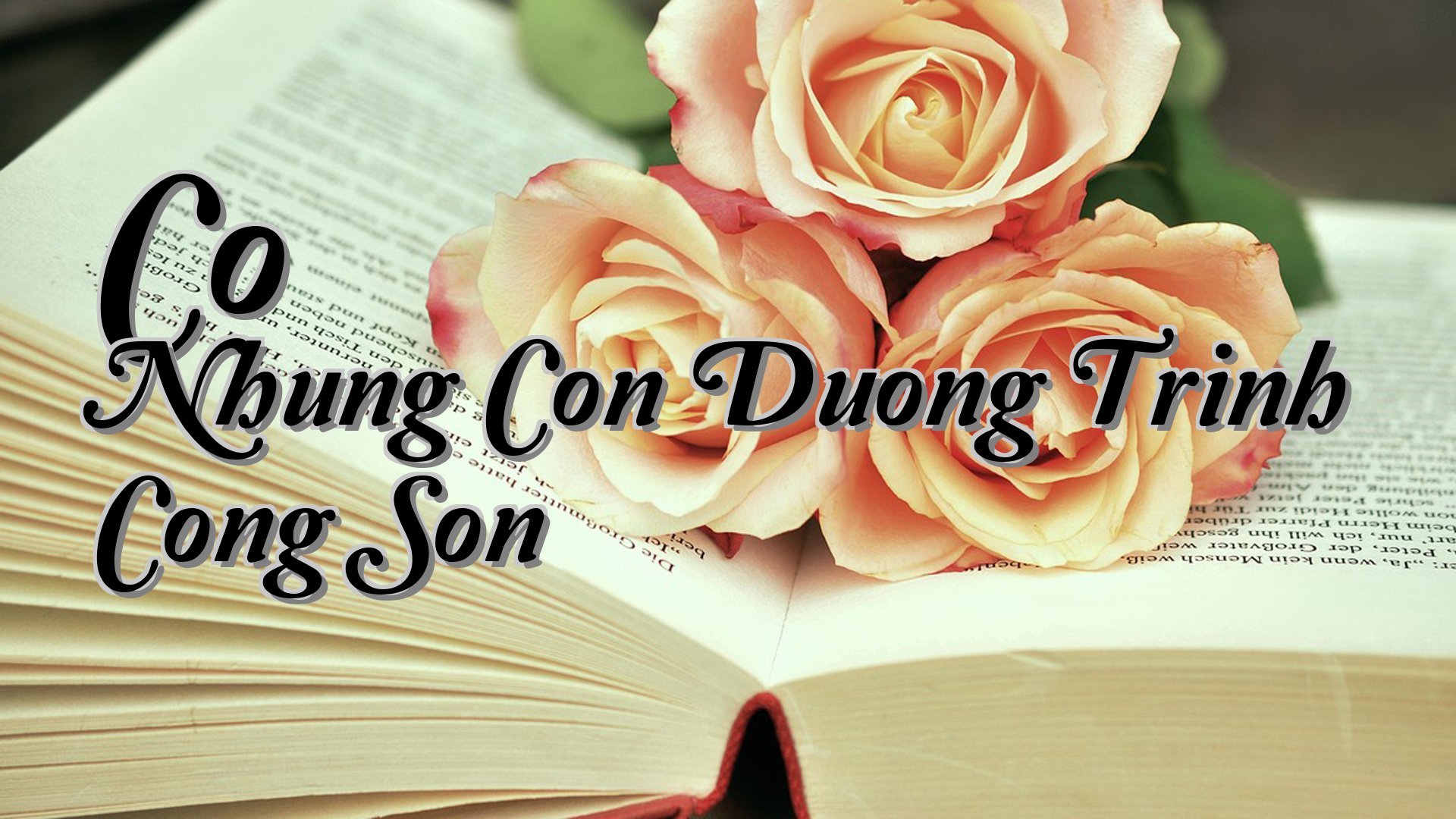 cover-Co Nhung Con Duong Trinh Cong Son