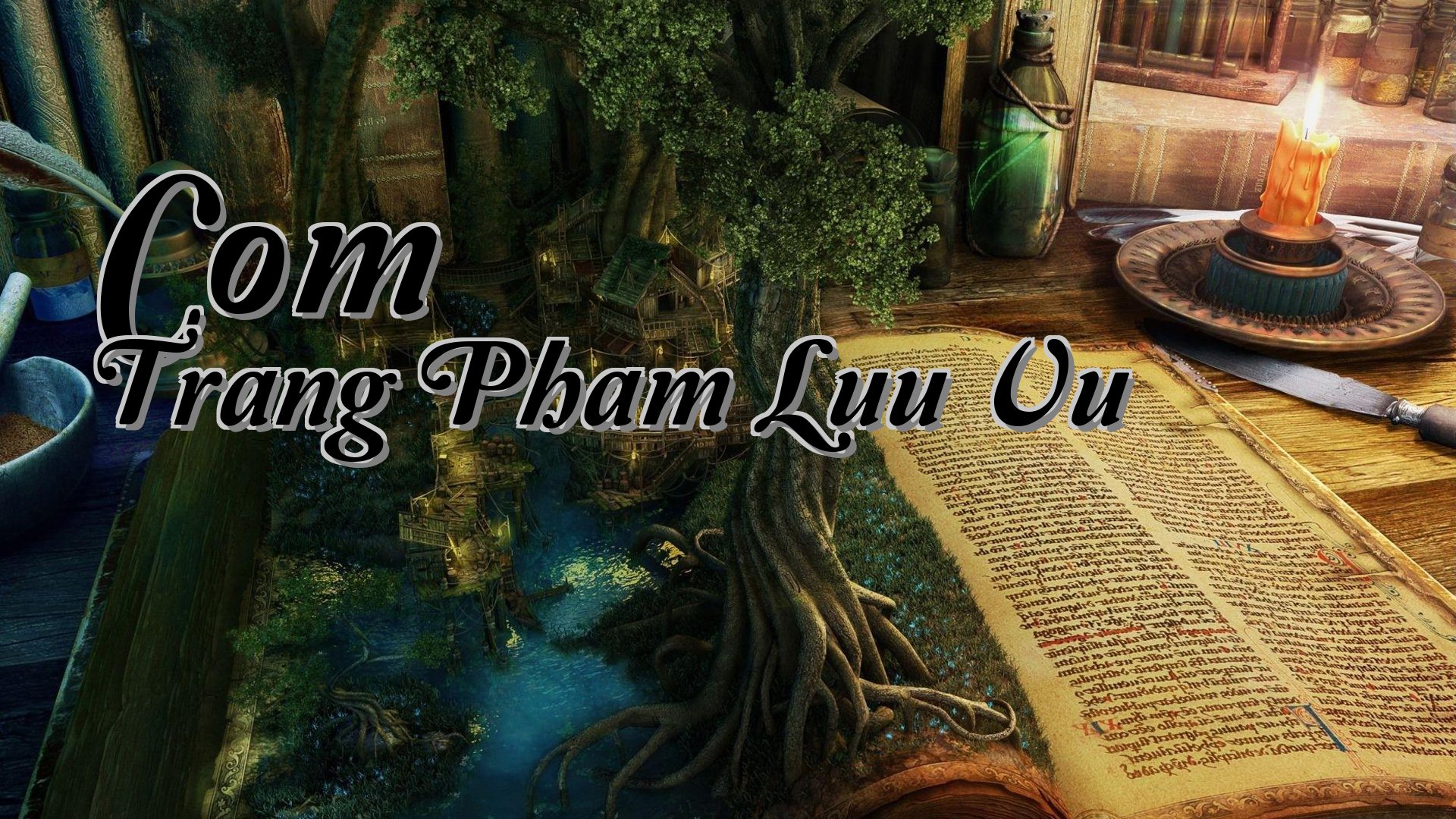 cover-Com Trang Pham Luu Vu