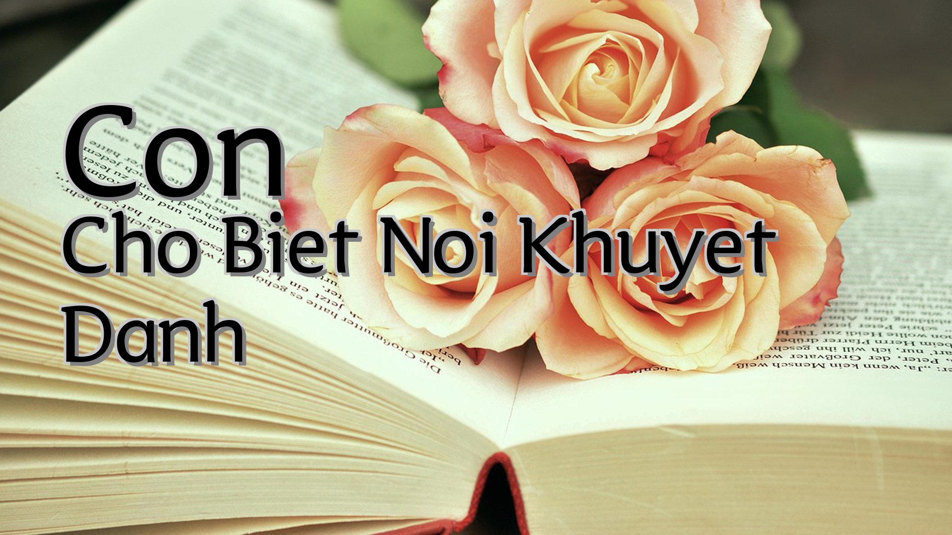 cover-Con Cho Biet Noi Khuyet Danh
