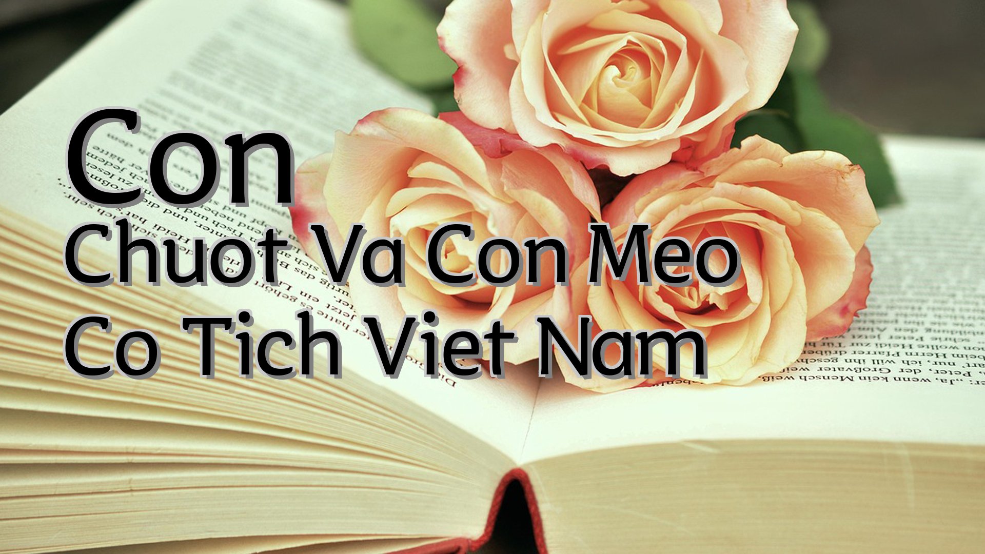 cover-Con Chuot Va Con Meo Co Tich Viet Nam