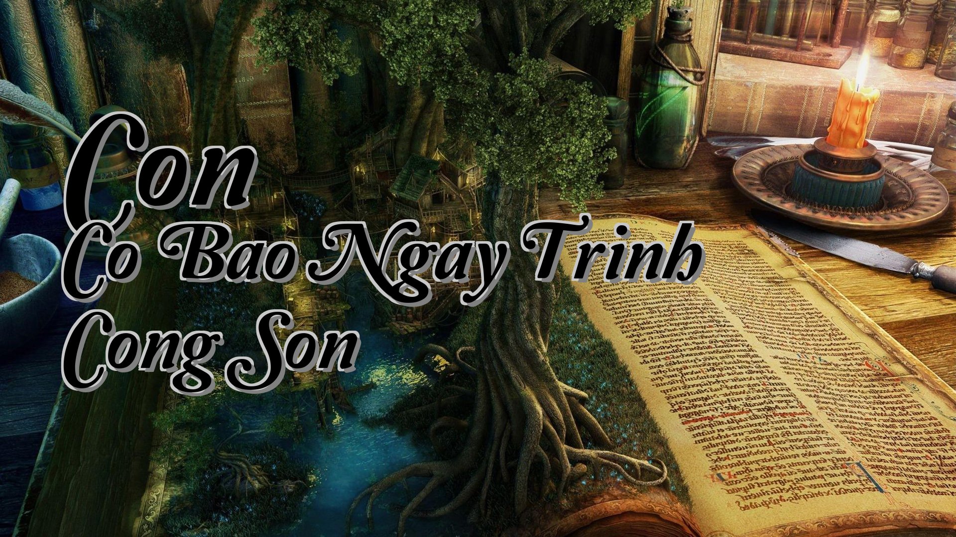 cover-Con Co Bao Ngay Trinh Cong Son