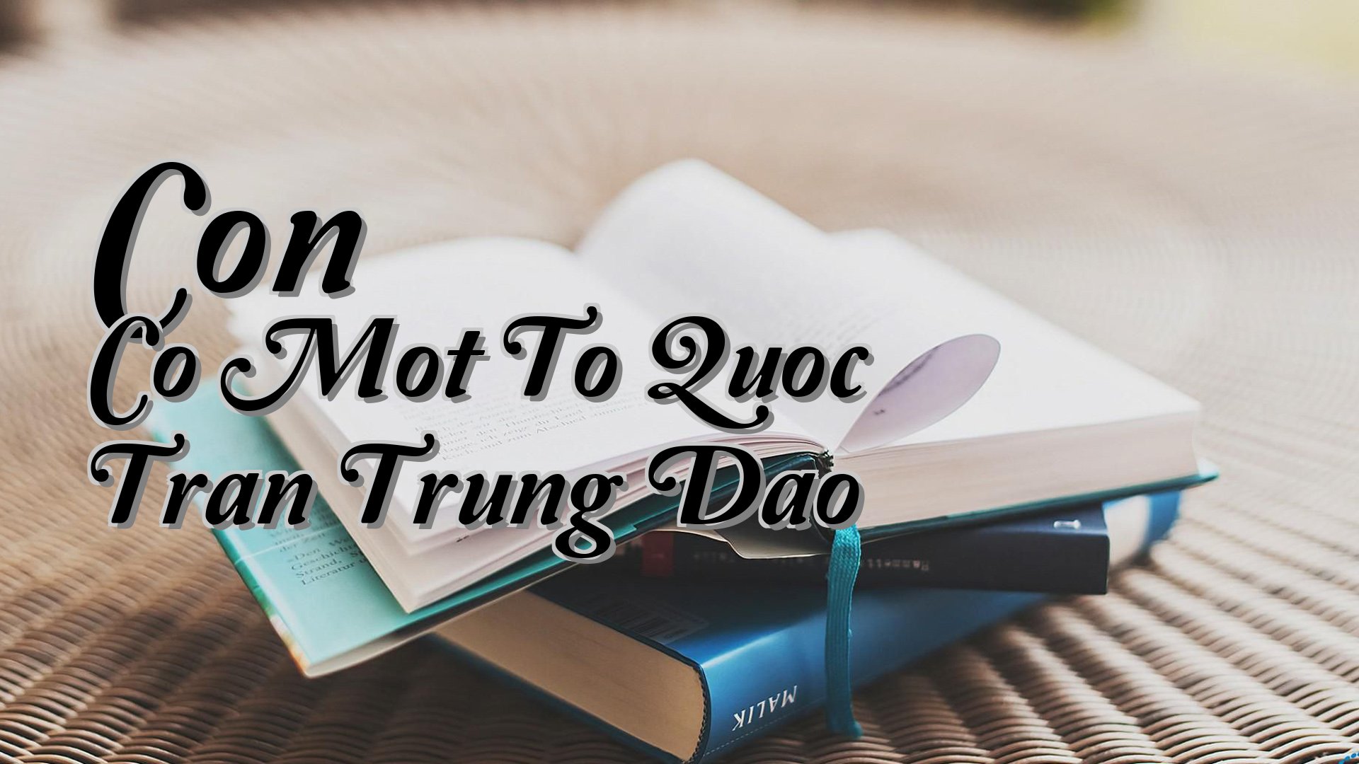 cover-Con Co Mot To Quoc Tran Trung Dao