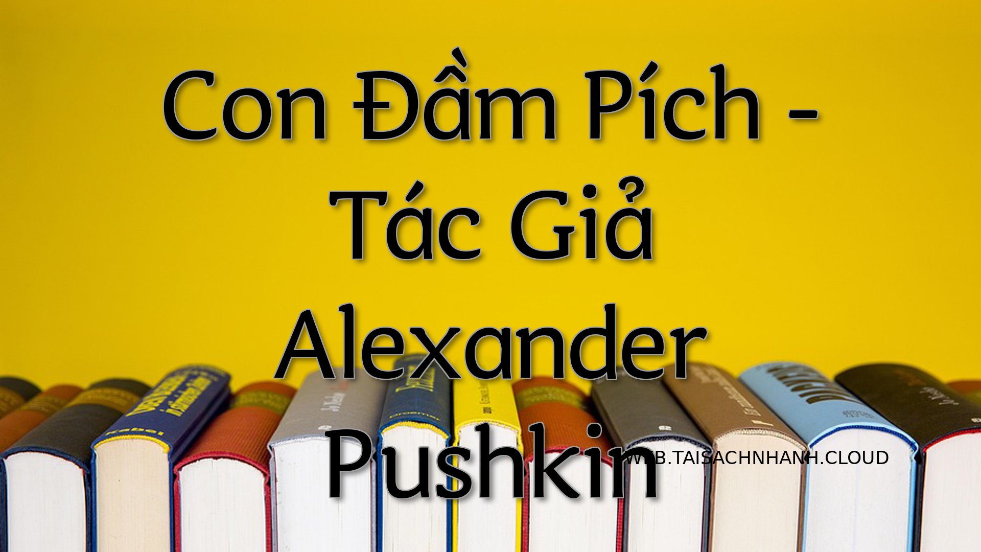 Cover Con Dam Pich.jpg