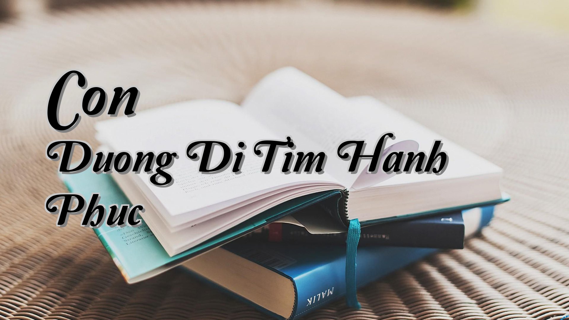 cover-Con Duong Di Tim Hanh Phuc