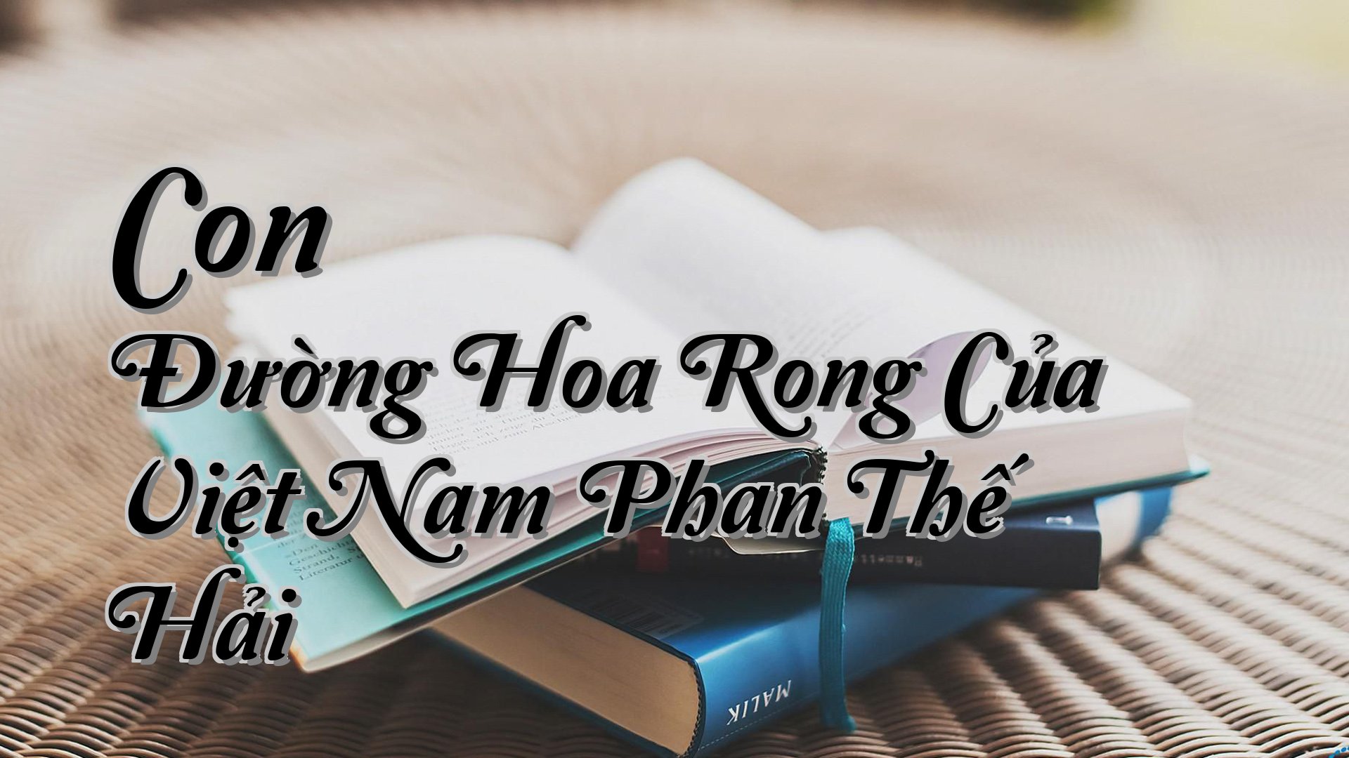 cover-Con Đường Hoa Rong Của Việt Nam Phan Thế Hải
