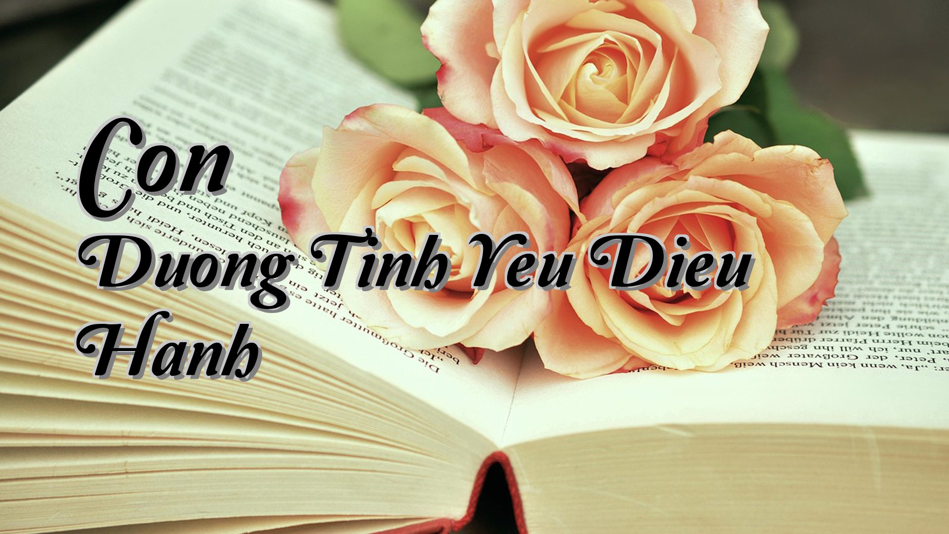 Cover image for Con Duong Tinh Yeu Dieu Hanh