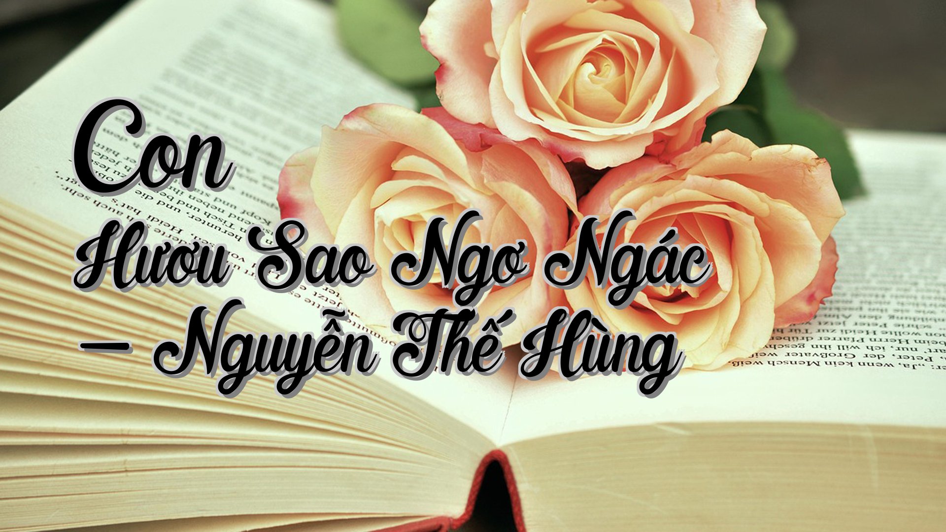 cover-Con Hươu Sao Ngơ Ngác - Nguyễn Thế Hùng