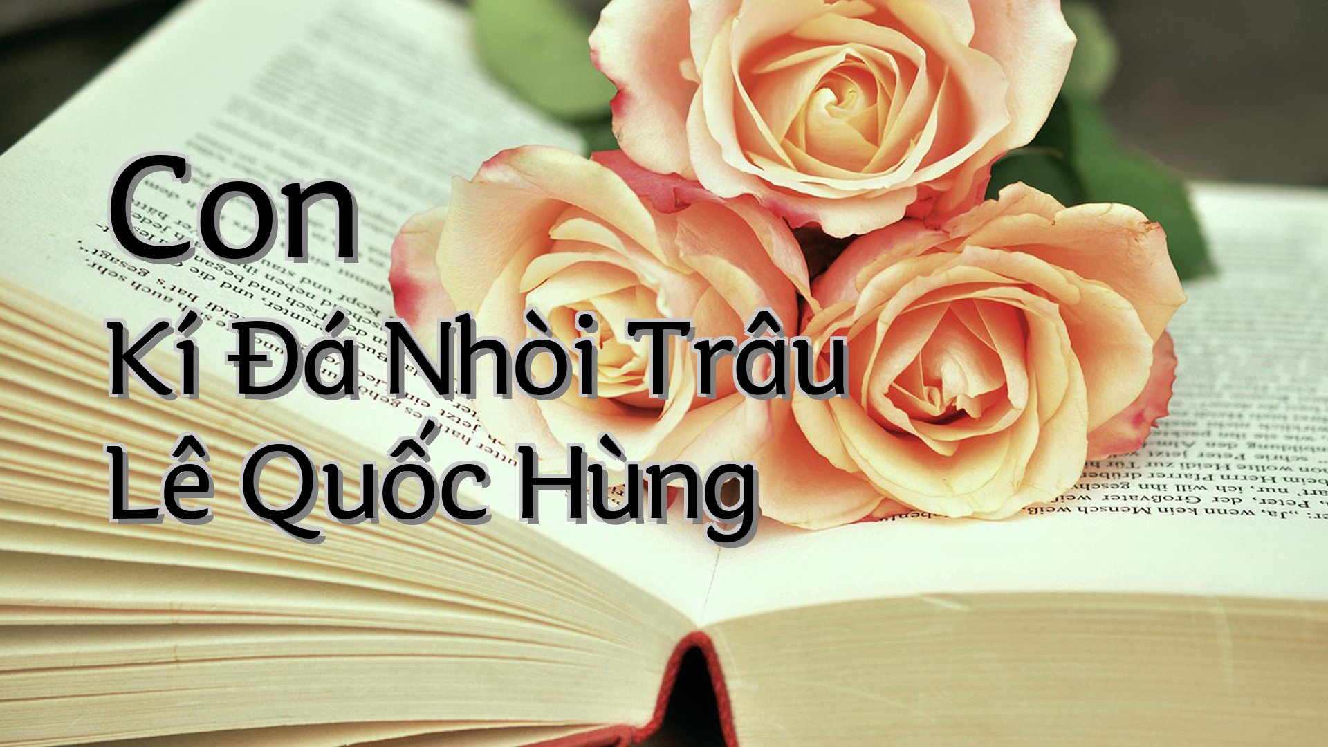 cover-Con Kí Đá Nhòi Trâu Lê Quốc Hùng