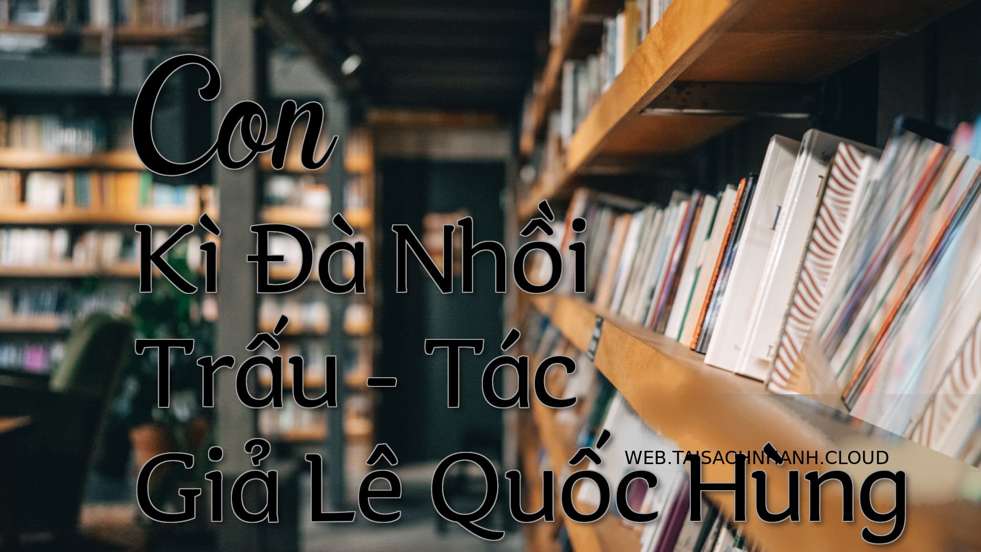 Cover Con Ki Da Nhoi Trau.jpg