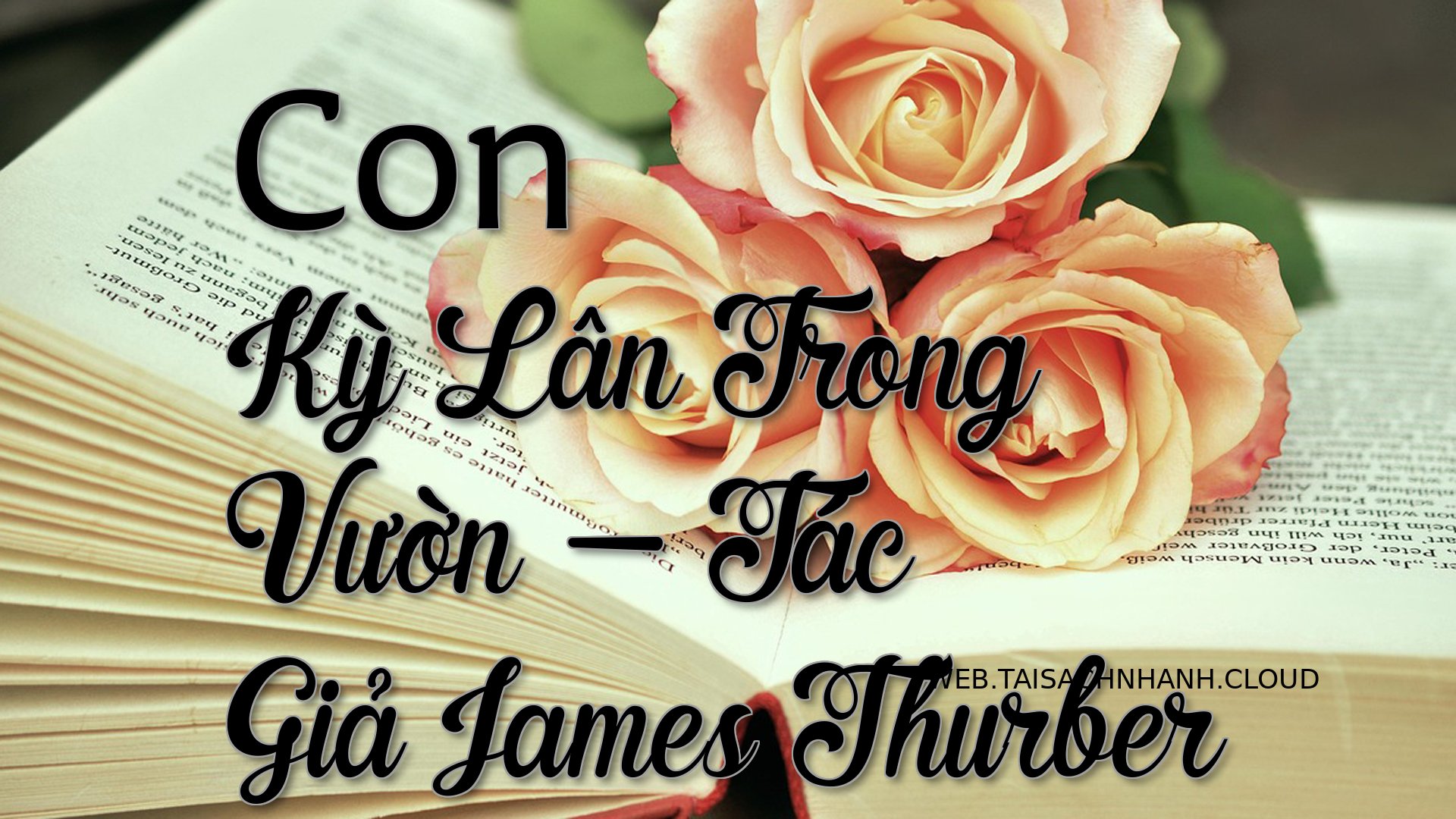 Cover Con Ky Lan Trong Vuo.jpg