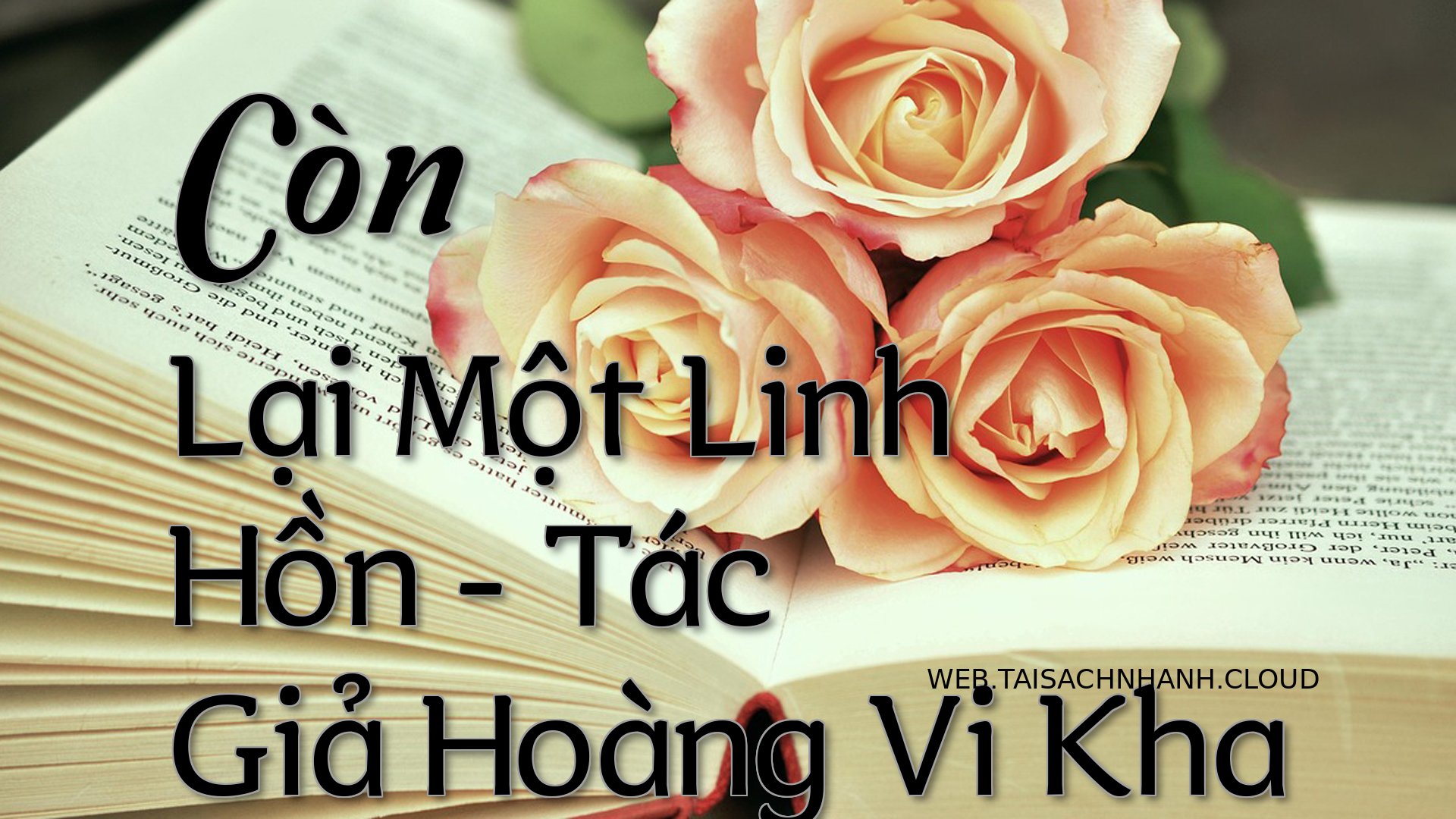 Cover Con Lai Mot Linh Hon.jpg
