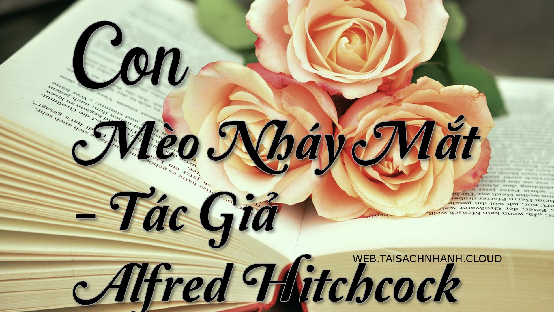 Cover Con Meo Nhay Mat.jpg