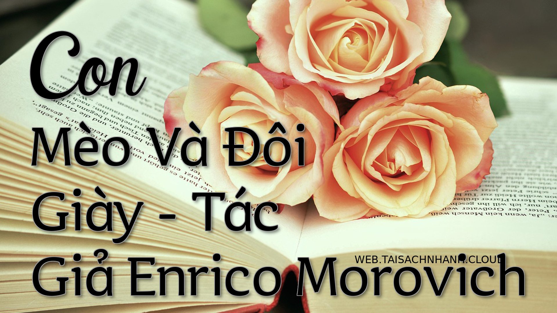 Cover Con Meo Va Doi Giay.jpg