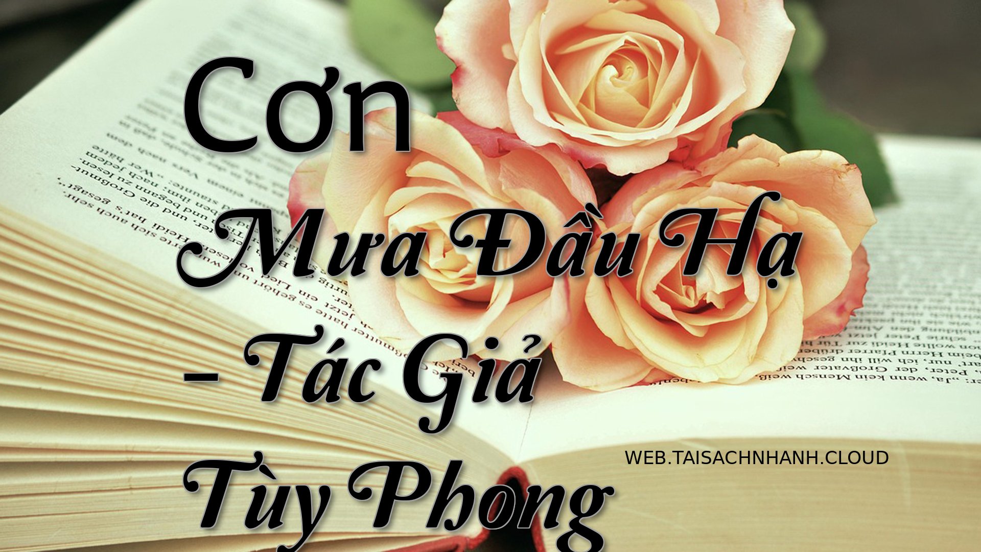 Cover Con Mua Dau Ha.jpg